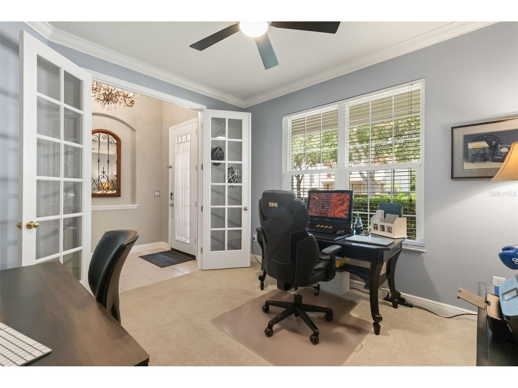 10236 Estuary Drive Tampa FL 33647 TB8531890 image12