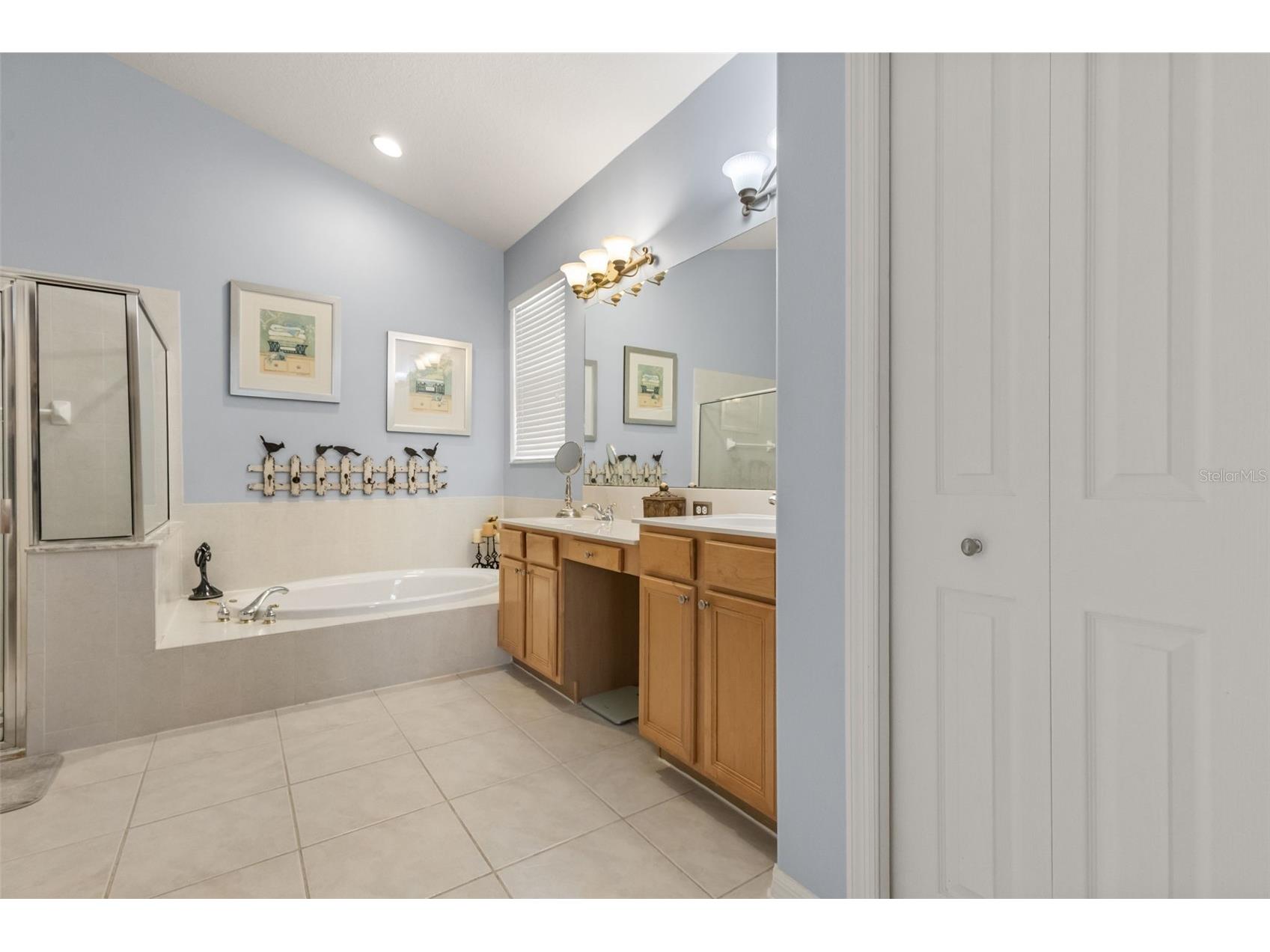 10236 Estuary Drive Tampa FL 33647 TB8531890 image22