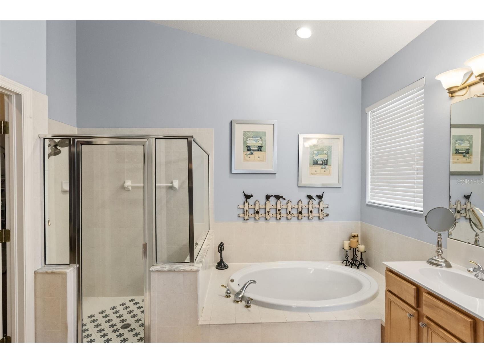 10236 Estuary Drive Tampa FL 33647 TB8531890 image23