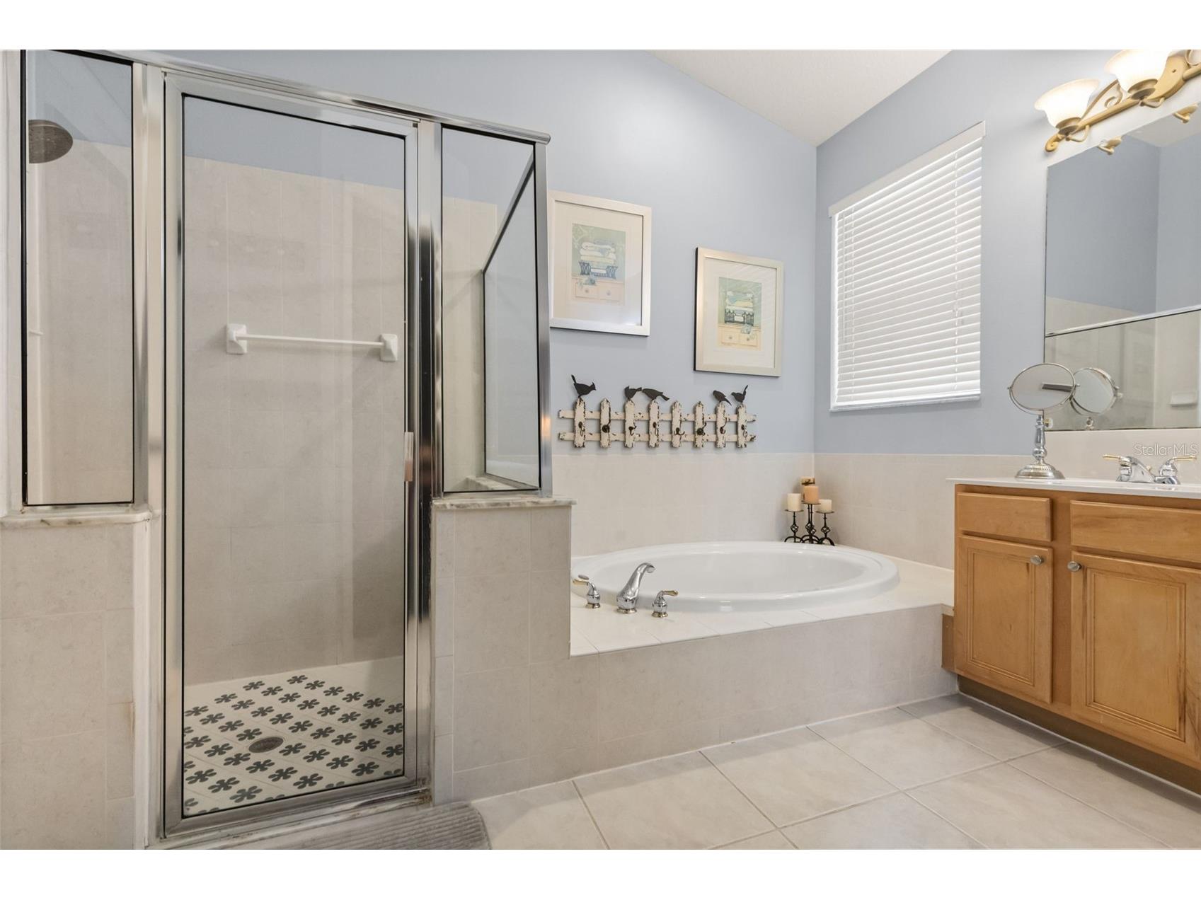 10236 Estuary Drive Tampa FL 33647 TB8531890 image40