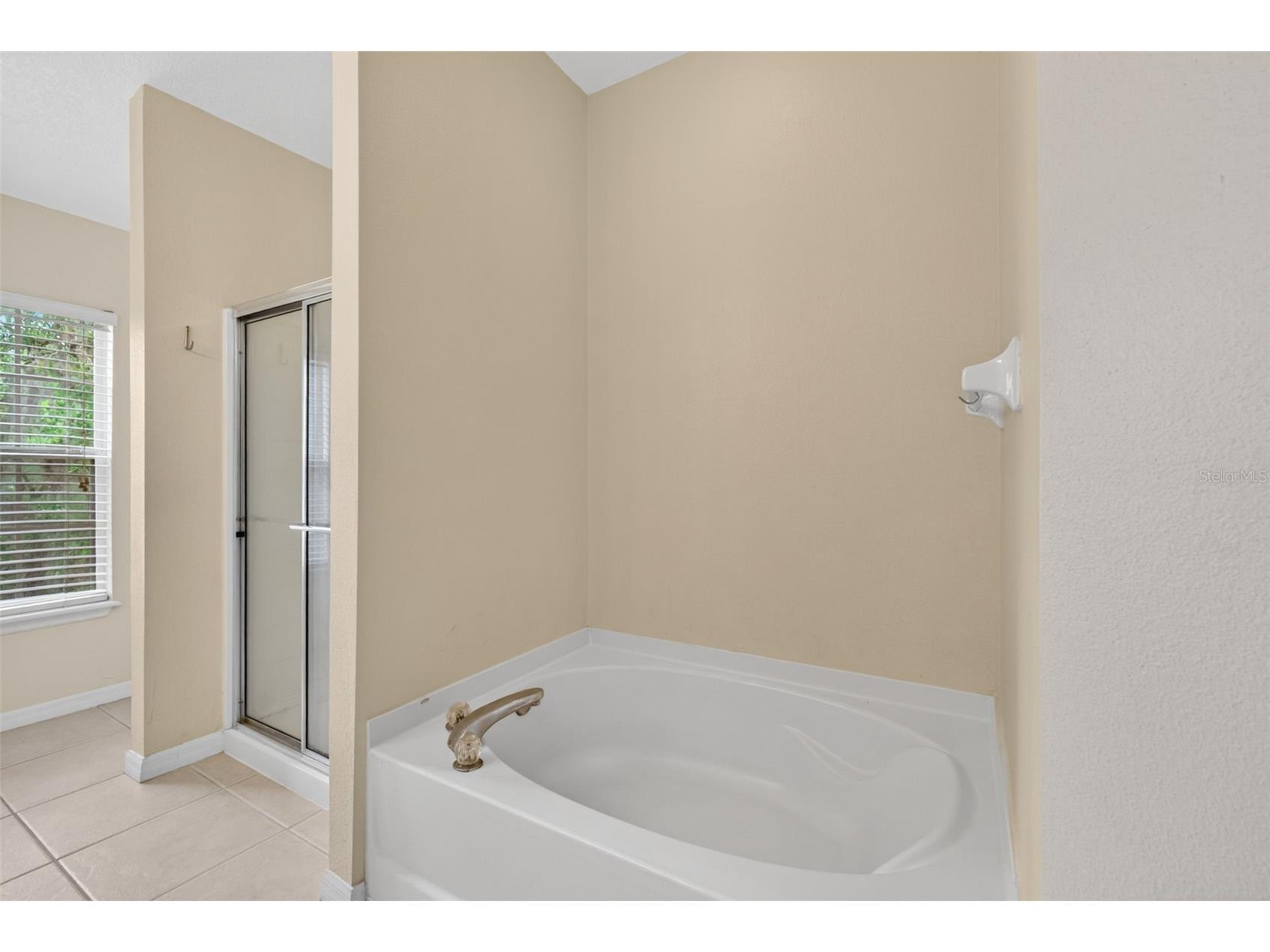 10236 Lake District Lane #35C Orlando FL 32832 O6398312 image22