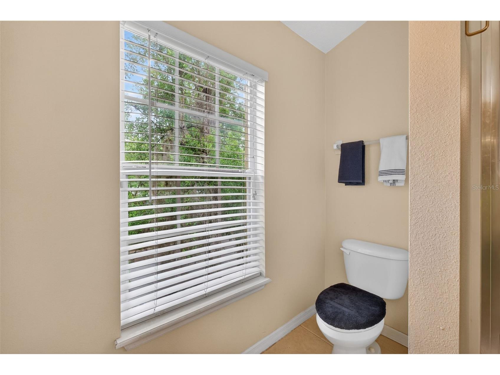 10236 Lake District Lane #35C Orlando FL 32832 O6398312 image25