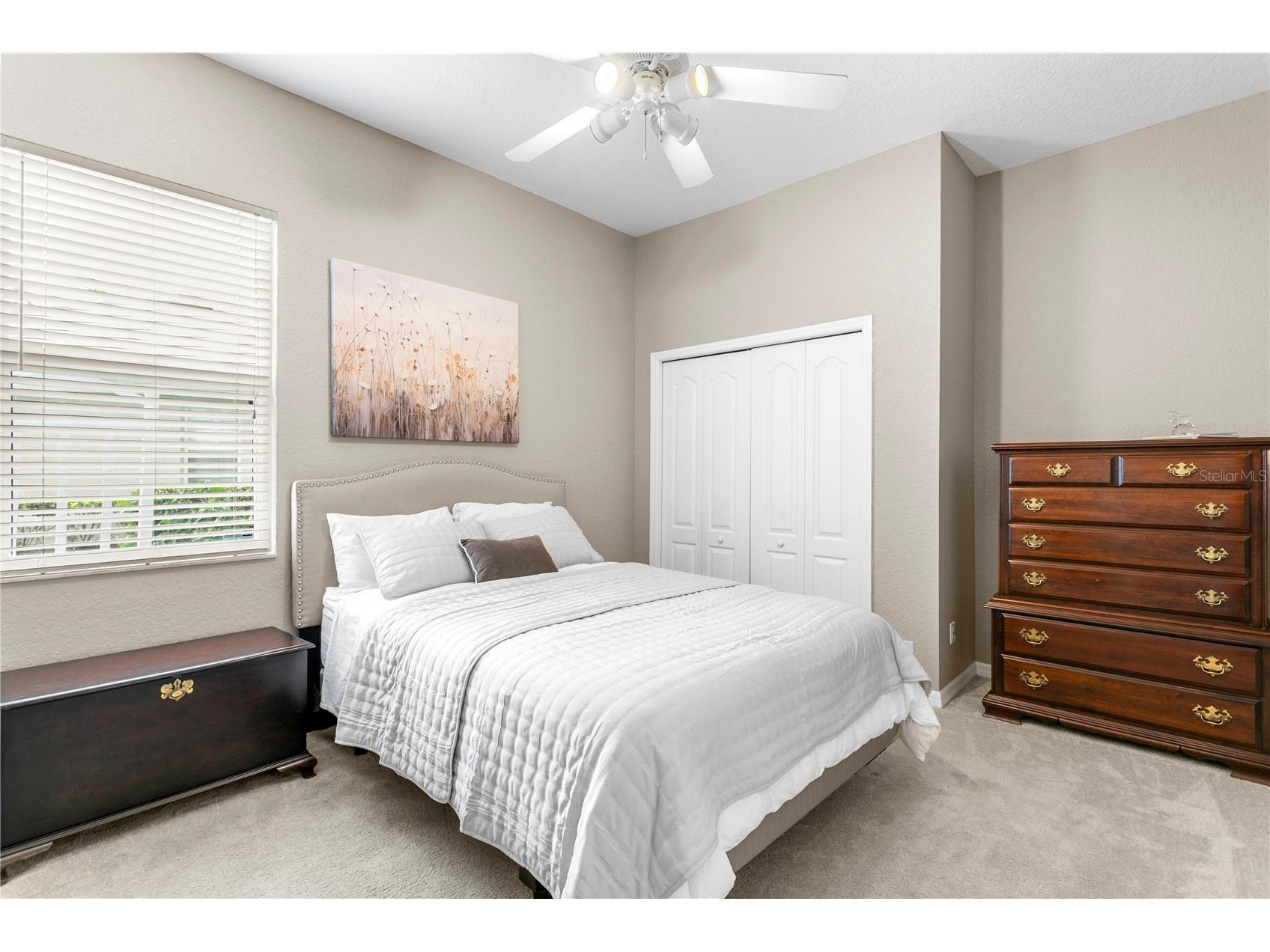 10237 Garden Alcove Drive Tampa FL 33647 TB8508942 image29