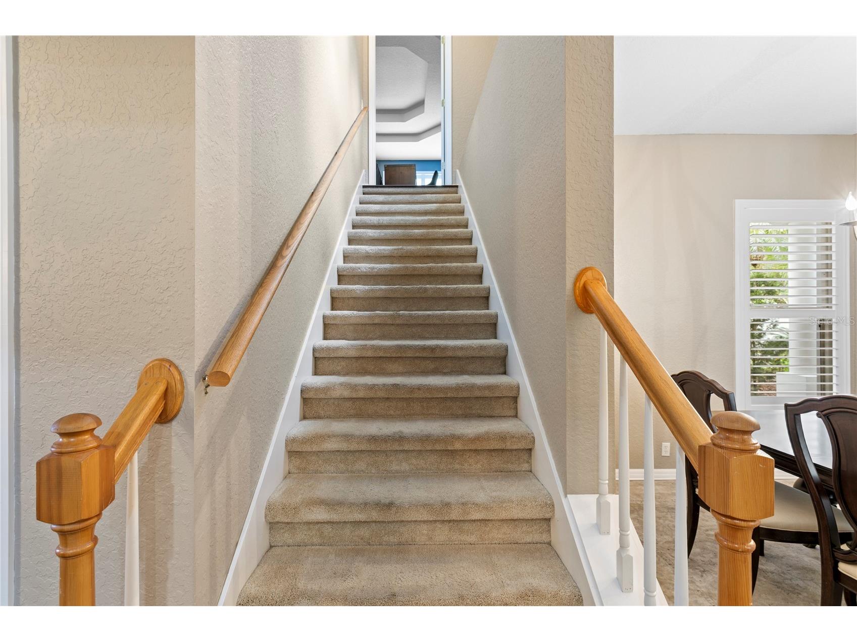 10237 Garden Alcove Drive Tampa FL 33647 TB8508942 image34
