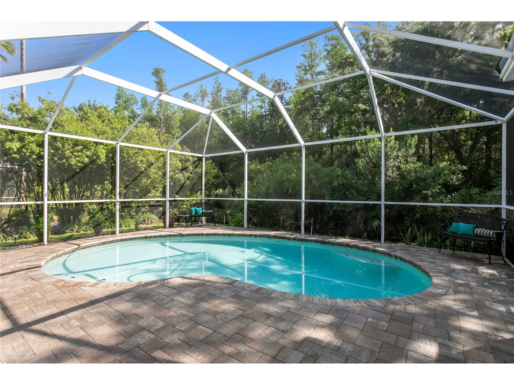 10237 Garden Alcove Drive Tampa FL 33647 TB8508942 image39