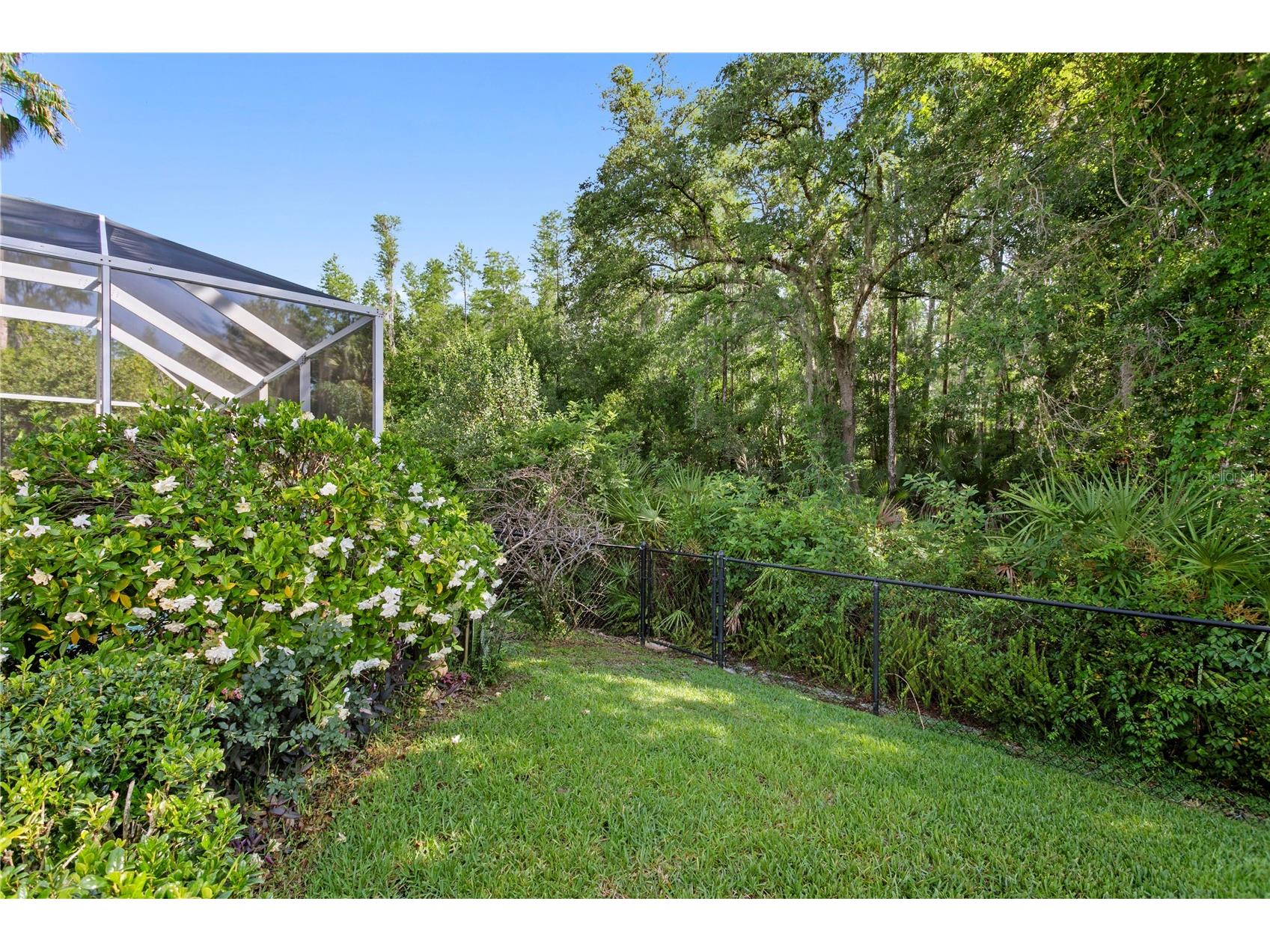 10237 Garden Alcove Drive Tampa FL 33647 TB8508942 image45