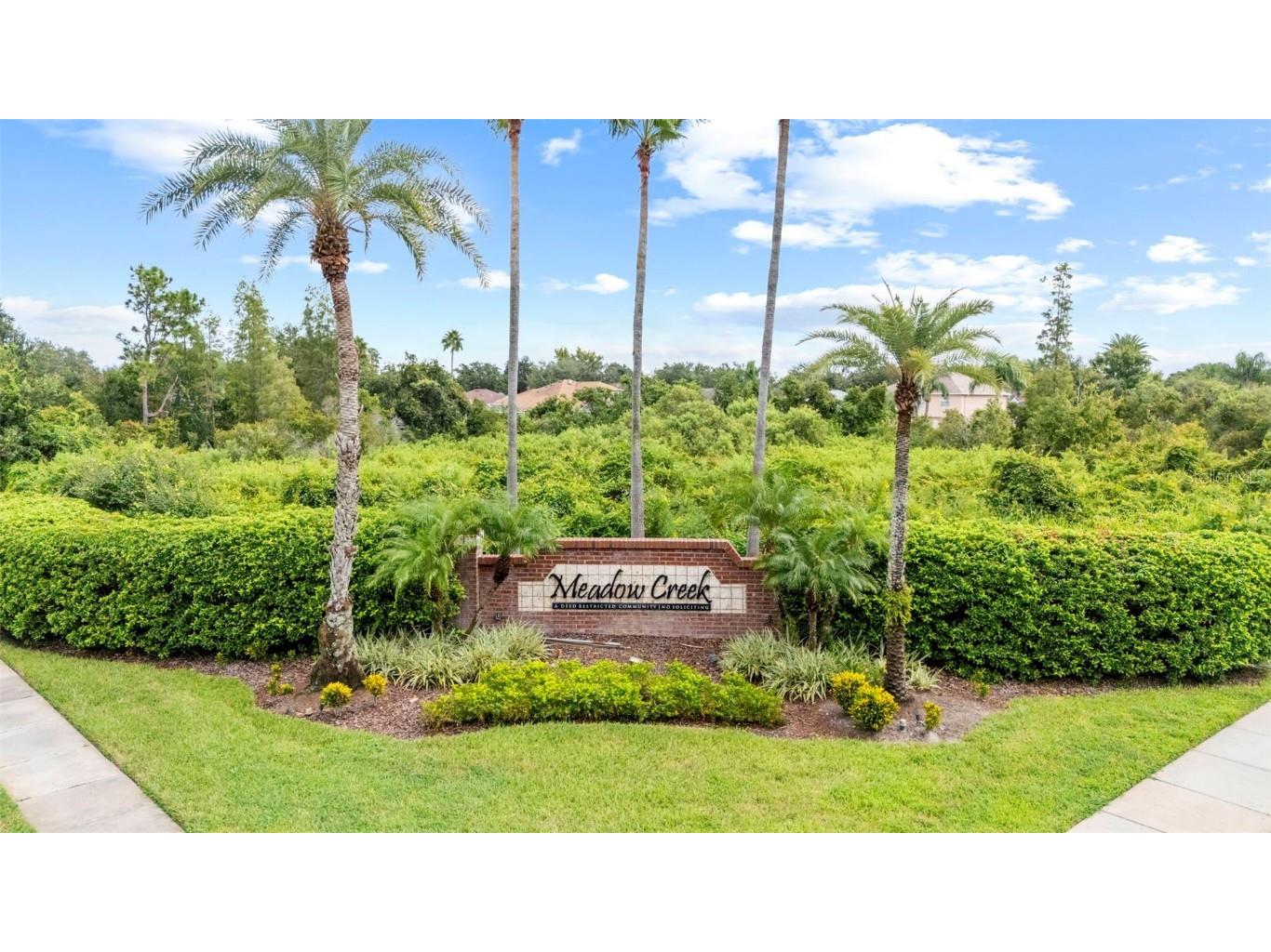 10237 Goldenbrook Way Tampa FL 33647 TB8425080 image50