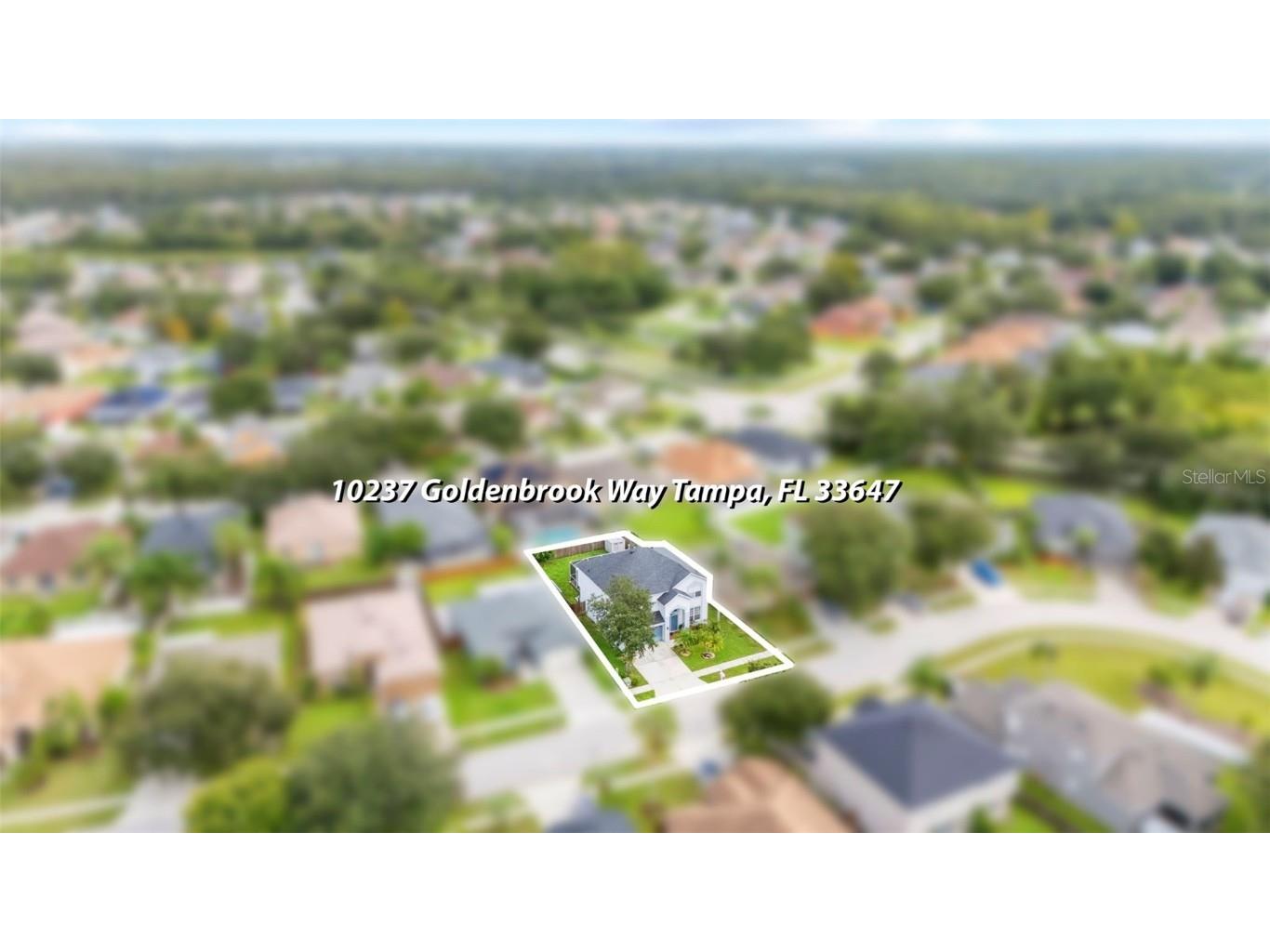 10237 Goldenbrook Way Tampa FL 33647 TB8425080 image59