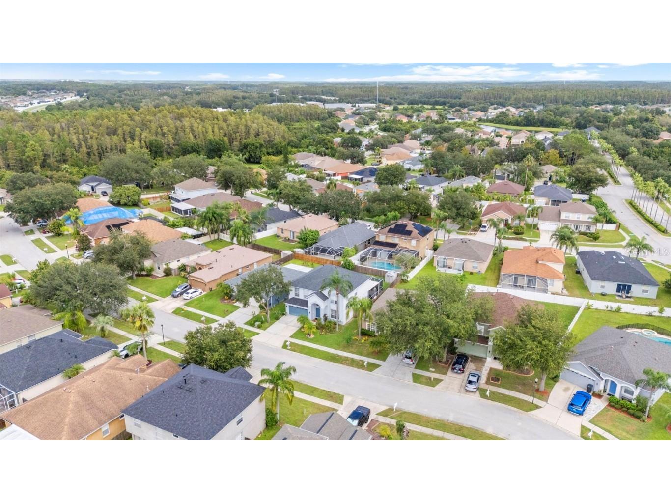 10237 Goldenbrook Way Tampa FL 33647 TB8425080 image61