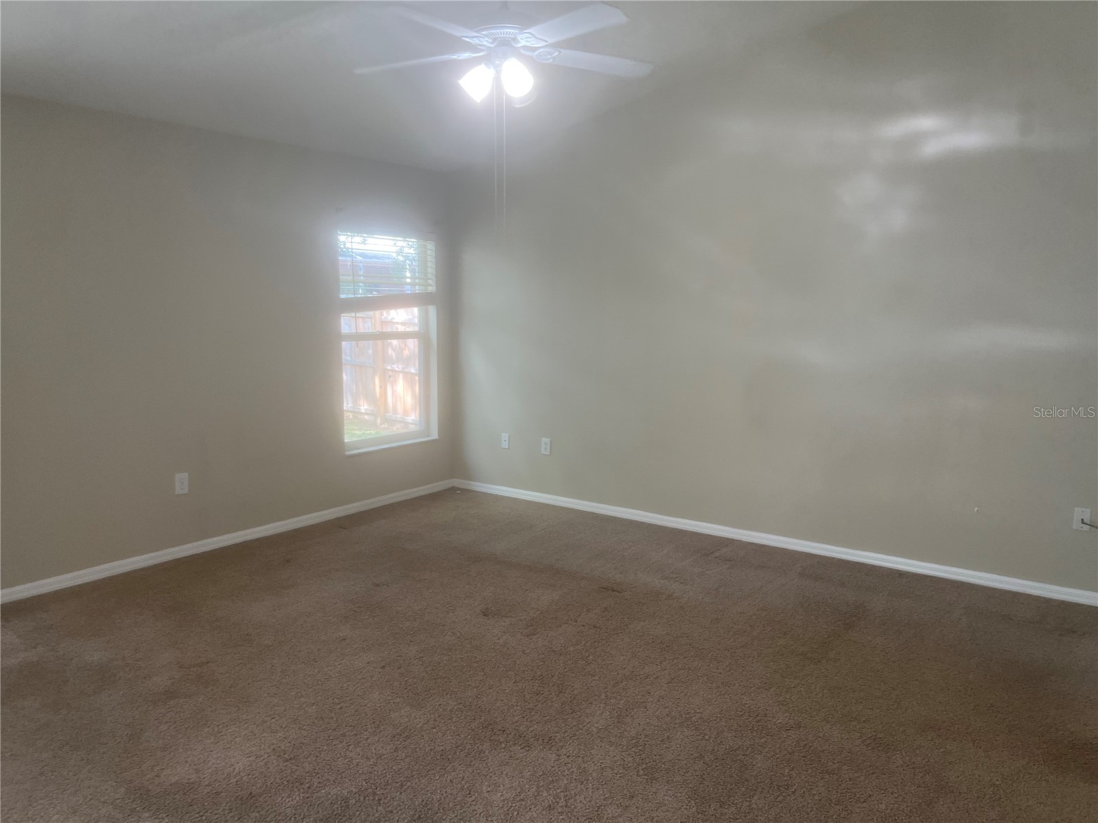 10237 Shadow Branch Drive Tampa FL 33647 TB8500348 image13
