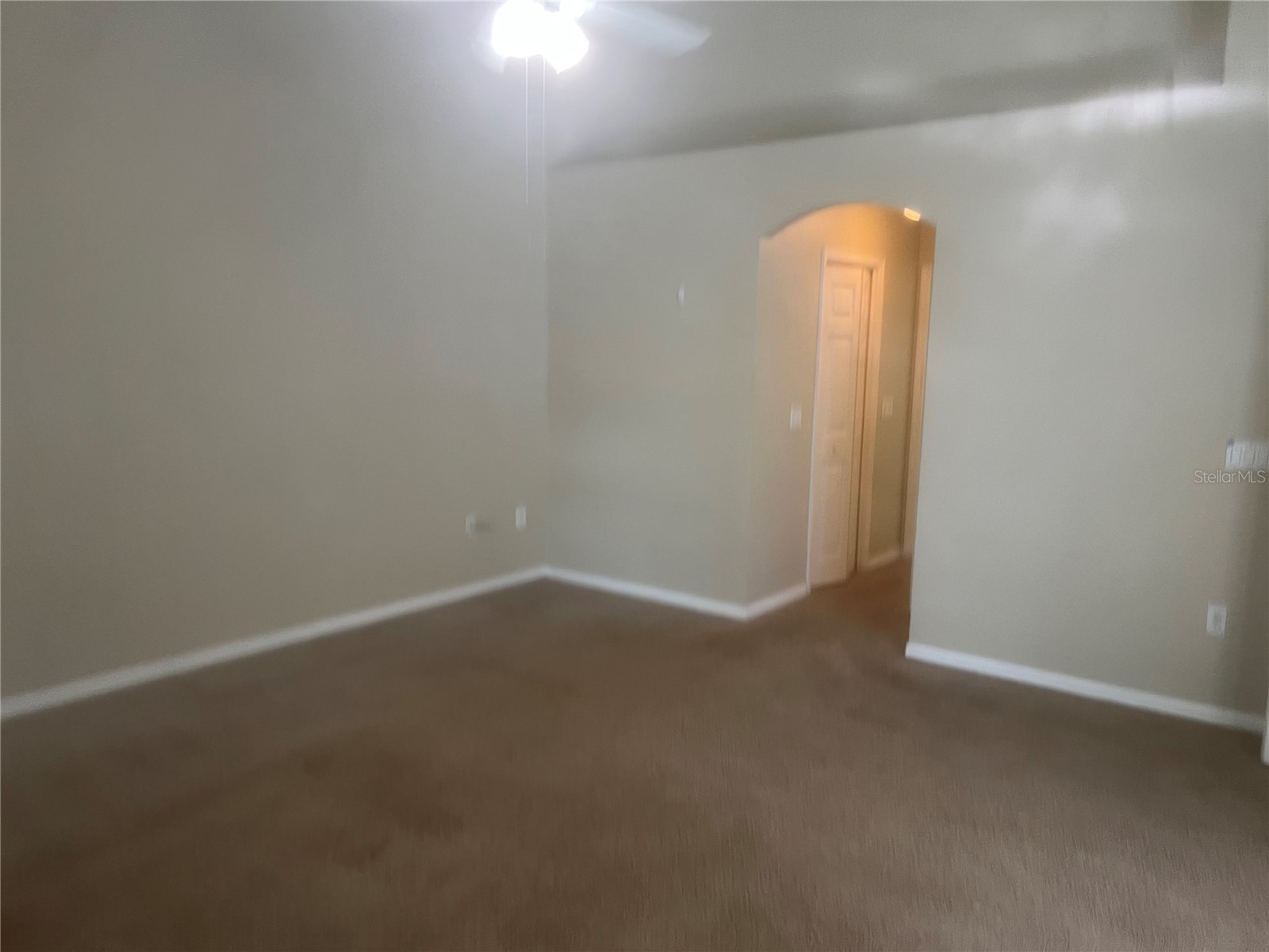10237 Shadow Branch Drive Tampa FL 33647 TB8500348 image14