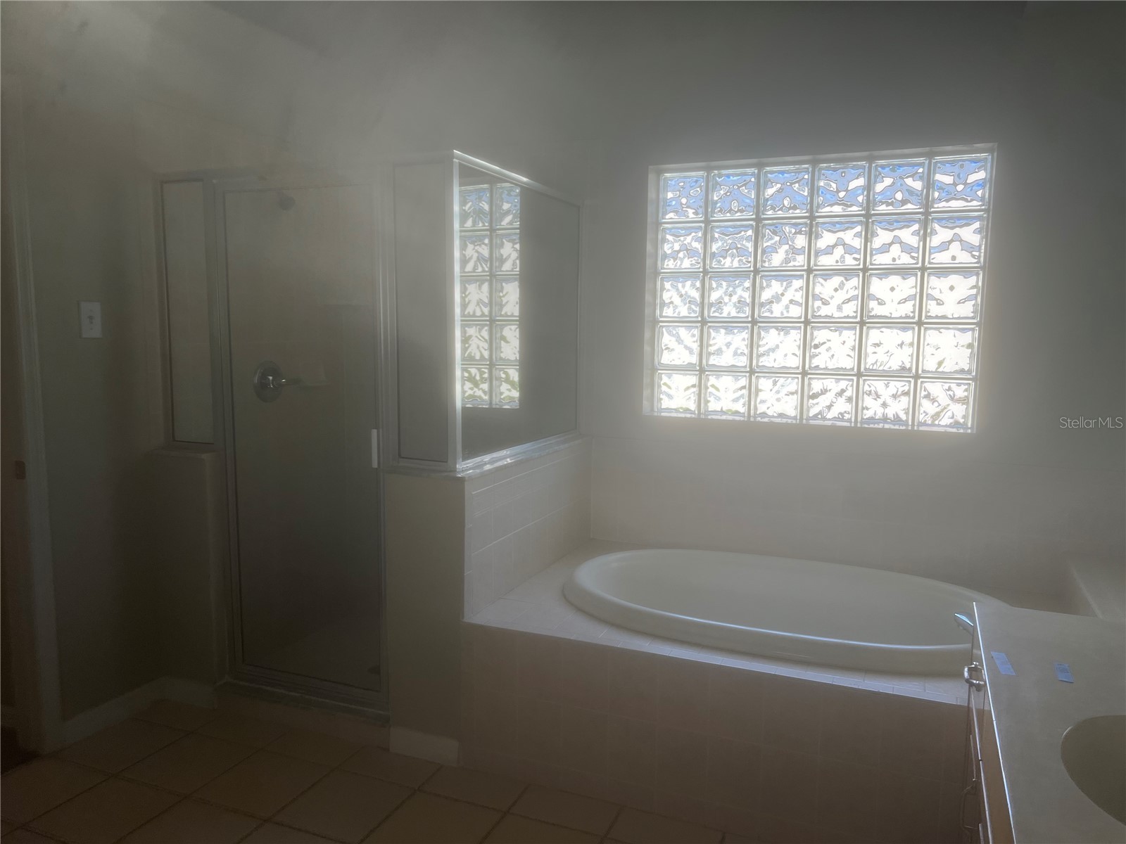 10237 Shadow Branch Drive Tampa FL 33647 TB8500348 image16