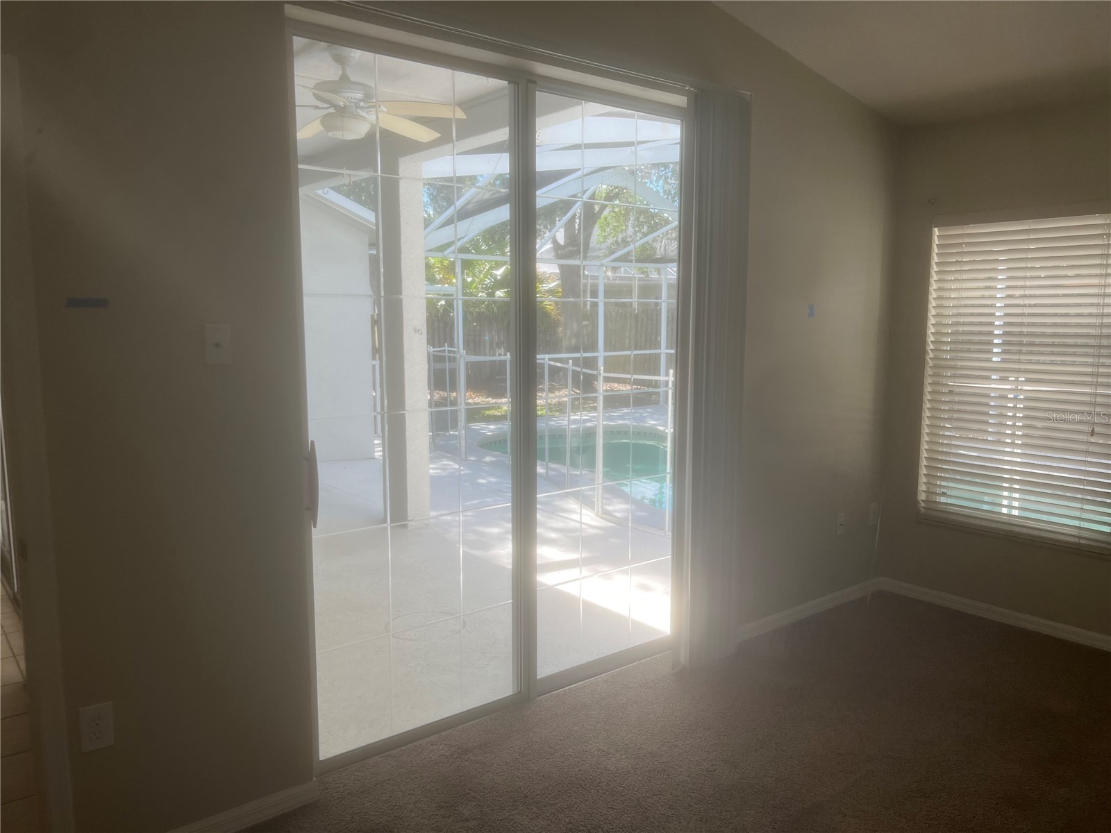 10237 Shadow Branch Drive Tampa FL 33647 TB8500348 image18