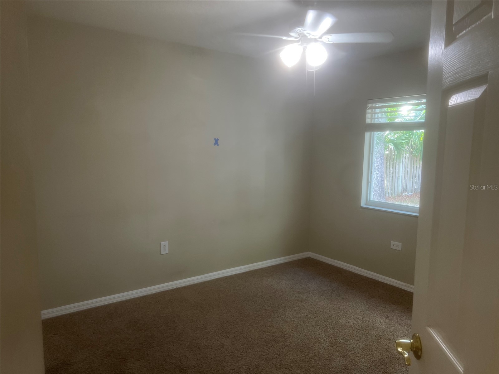 10237 Shadow Branch Drive Tampa FL 33647 TB8500348 image20