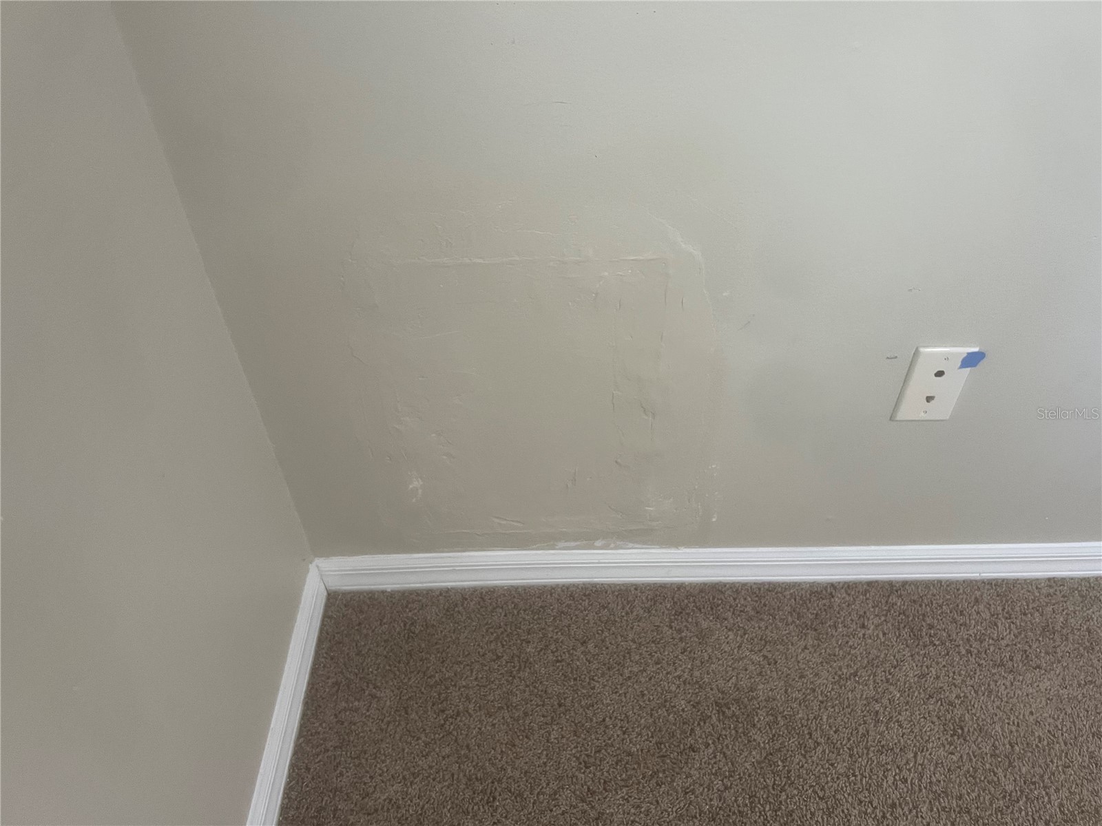 10237 Shadow Branch Drive Tampa FL 33647 TB8500348 image21