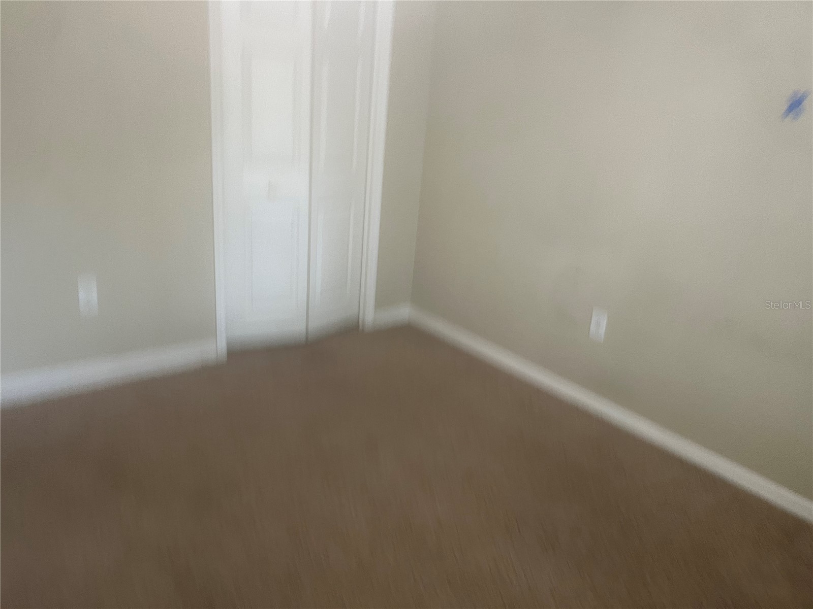 10237 Shadow Branch Drive Tampa FL 33647 TB8500348 image22