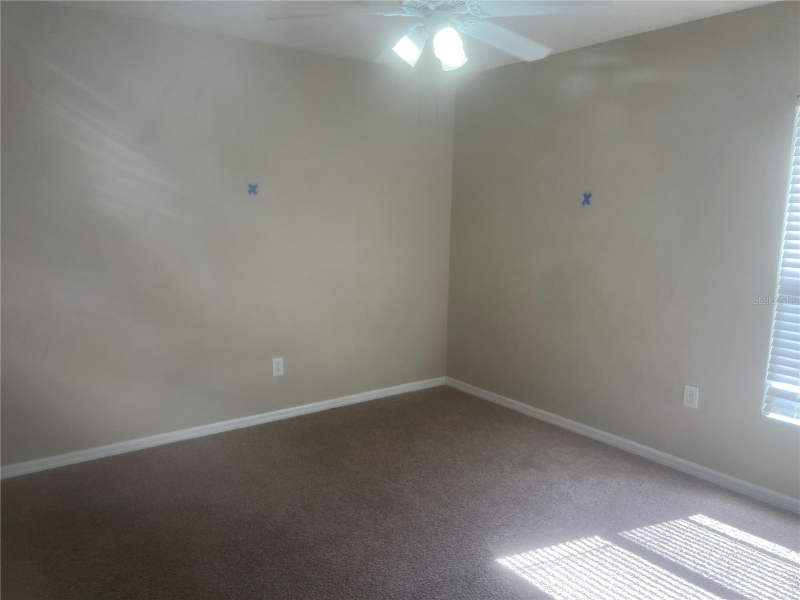 10237 Shadow Branch Drive Tampa FL 33647 TB8500348 image23