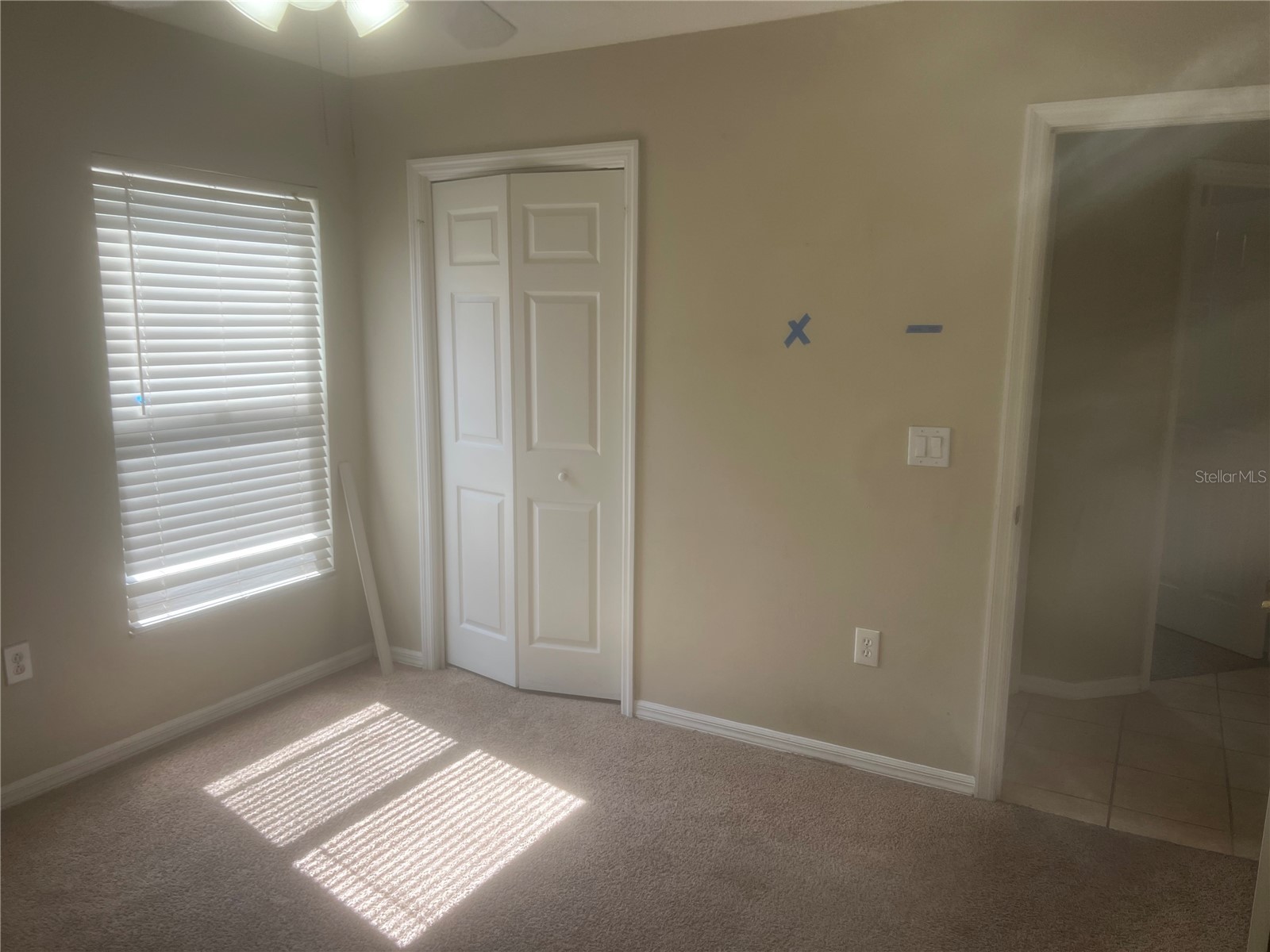10237 Shadow Branch Drive Tampa FL 33647 TB8500348 image24