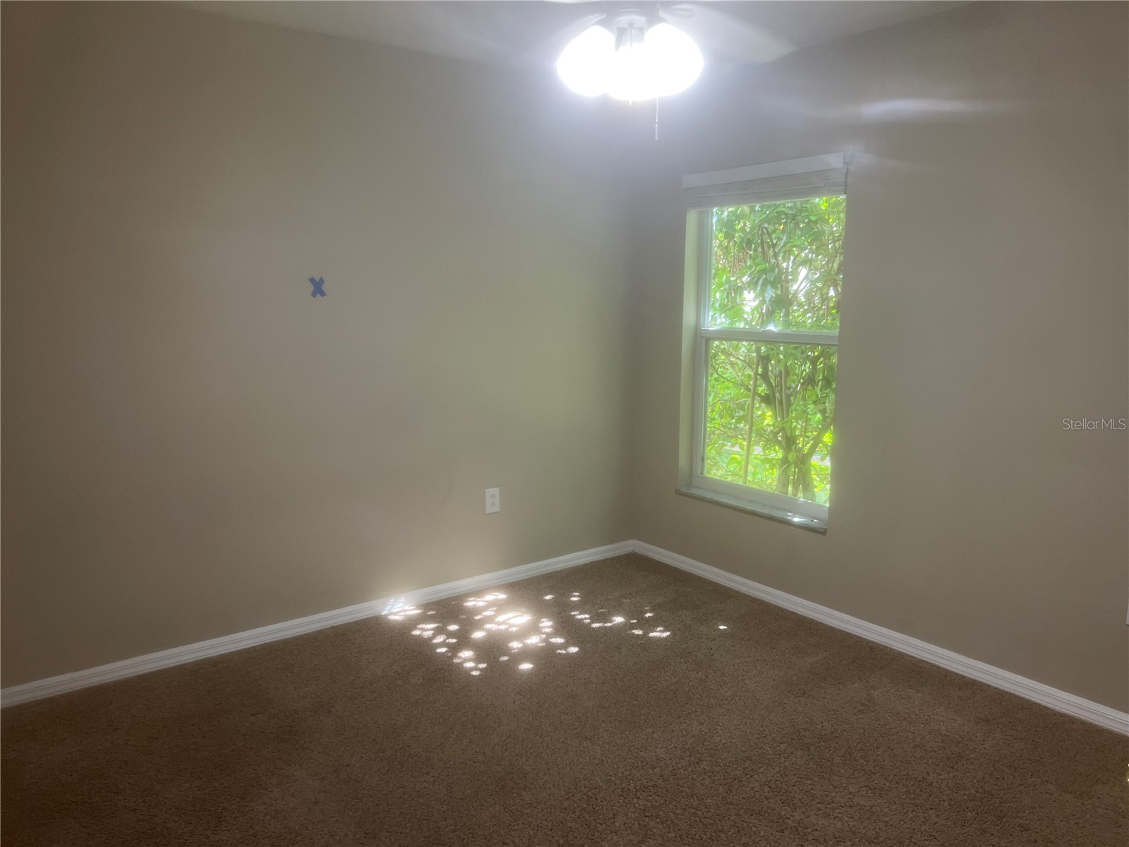 10237 Shadow Branch Drive Tampa FL 33647 TB8500348 image30
