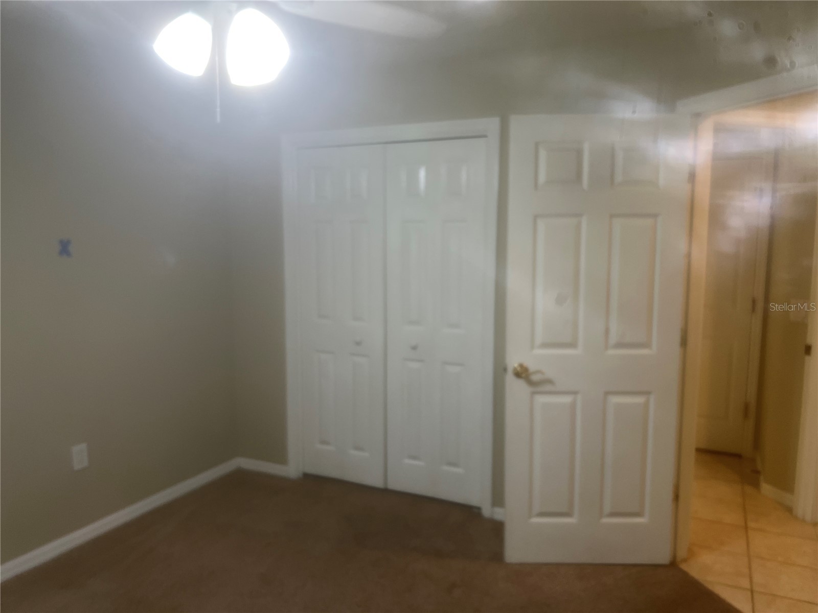 10237 Shadow Branch Drive Tampa FL 33647 TB8500348 image31