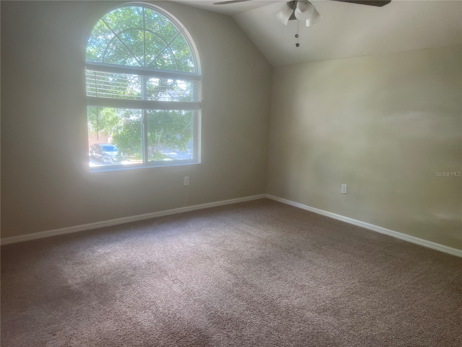 10237 Shadow Branch Drive Tampa FL 33647 TB8500348 image33