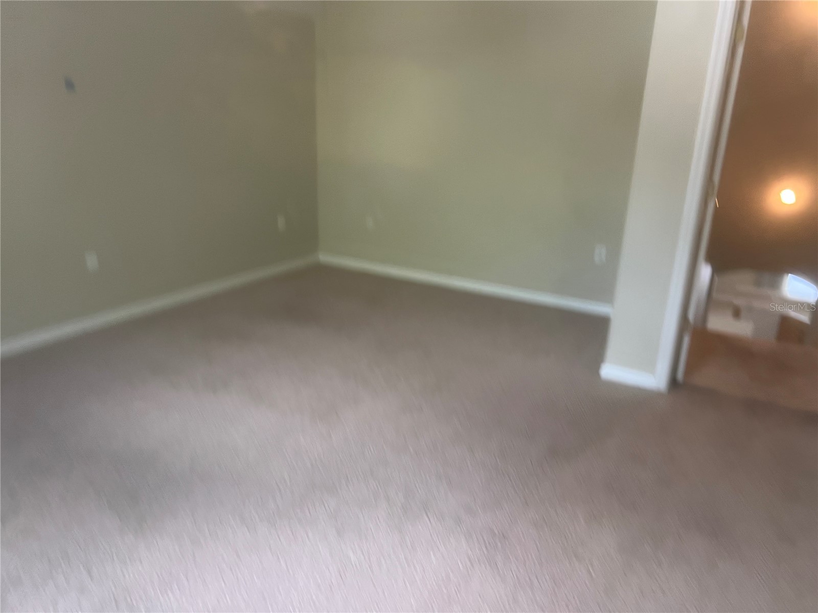 10237 Shadow Branch Drive Tampa FL 33647 TB8500348 image34
