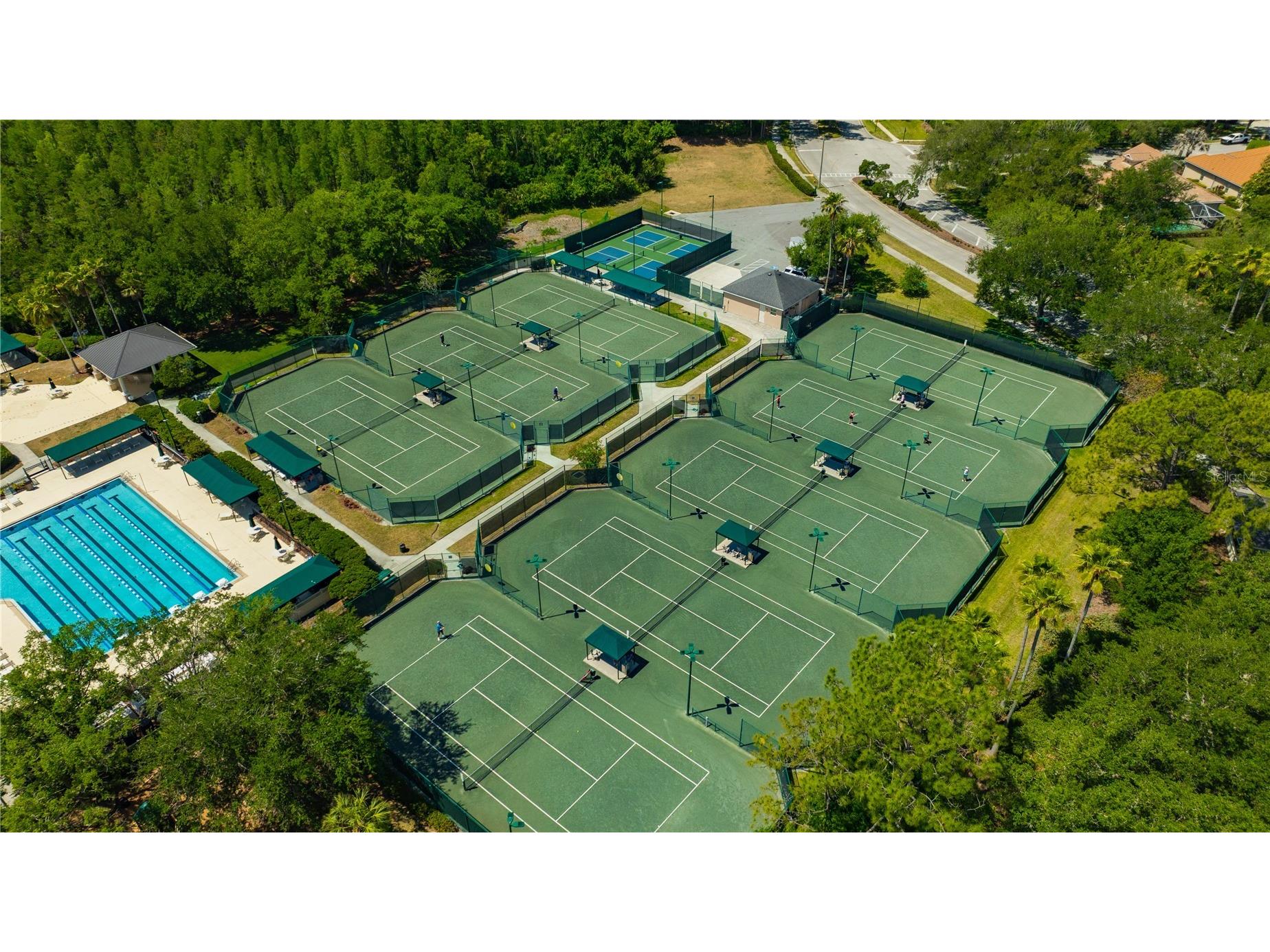 10237 Shadow Branch Drive Tampa FL 33647 TB8500348 image46