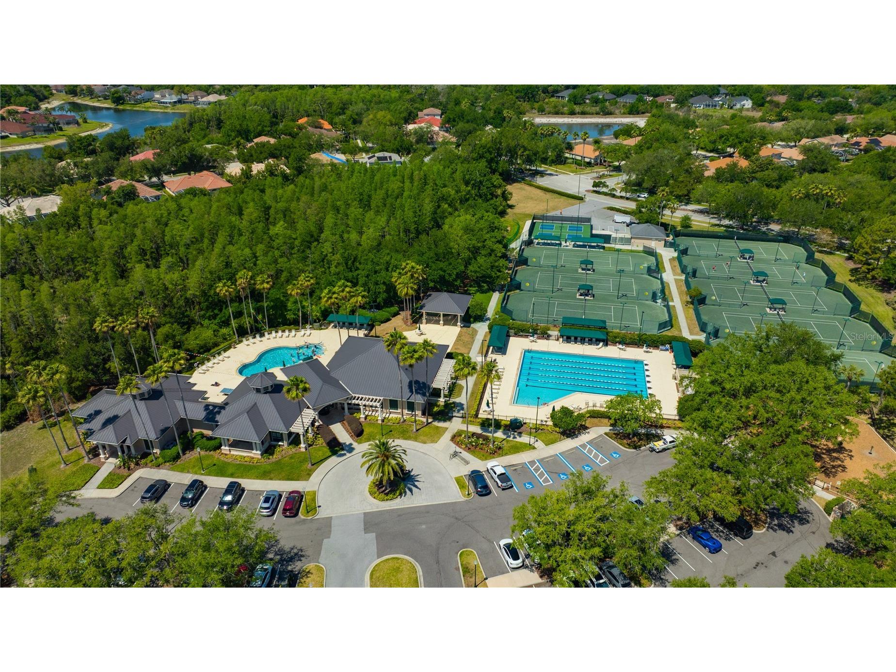 10237 Shadow Branch Drive Tampa FL 33647 TB8500348 image47