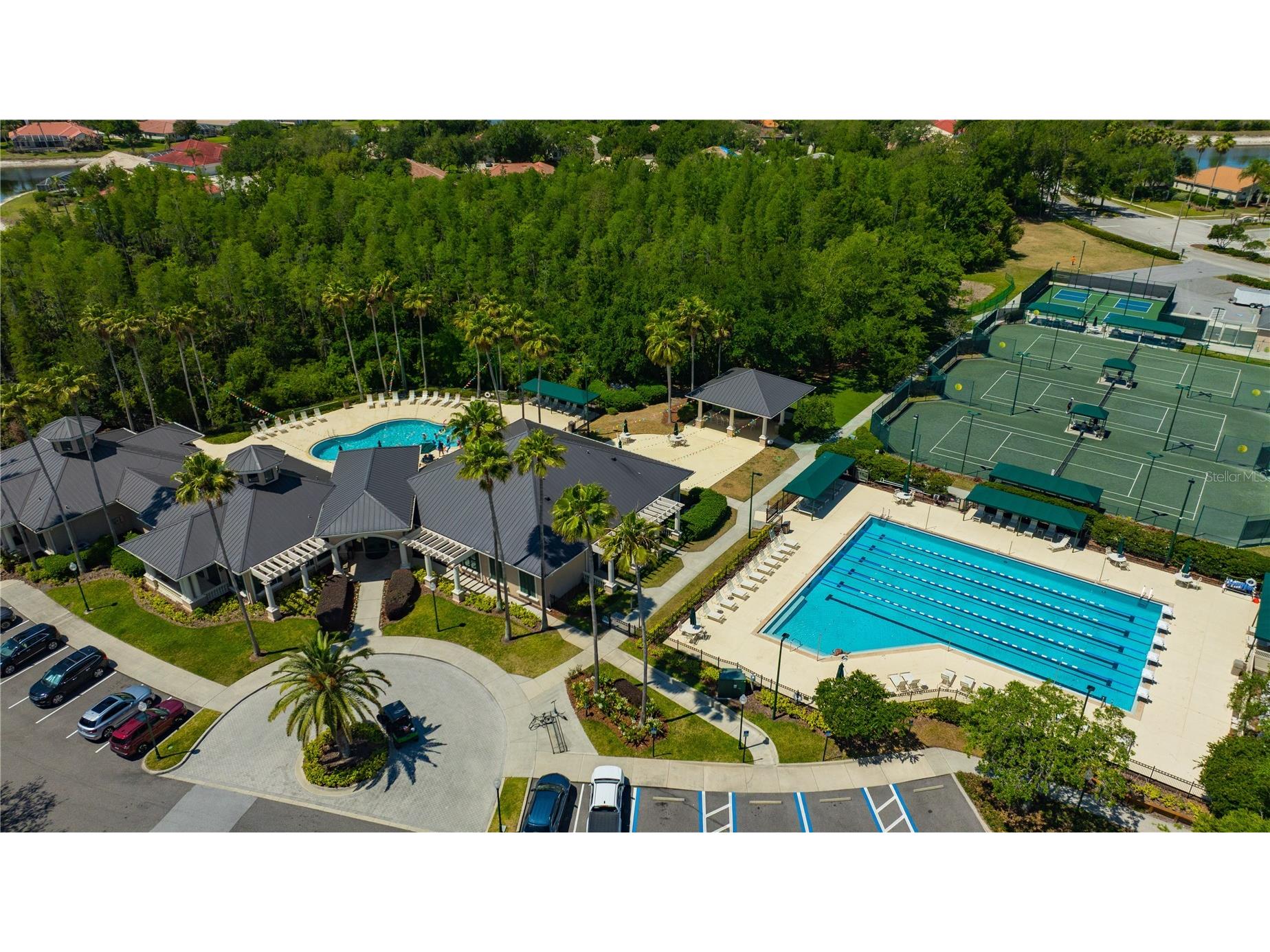 10237 Shadow Branch Drive Tampa FL 33647 TB8500348 image48