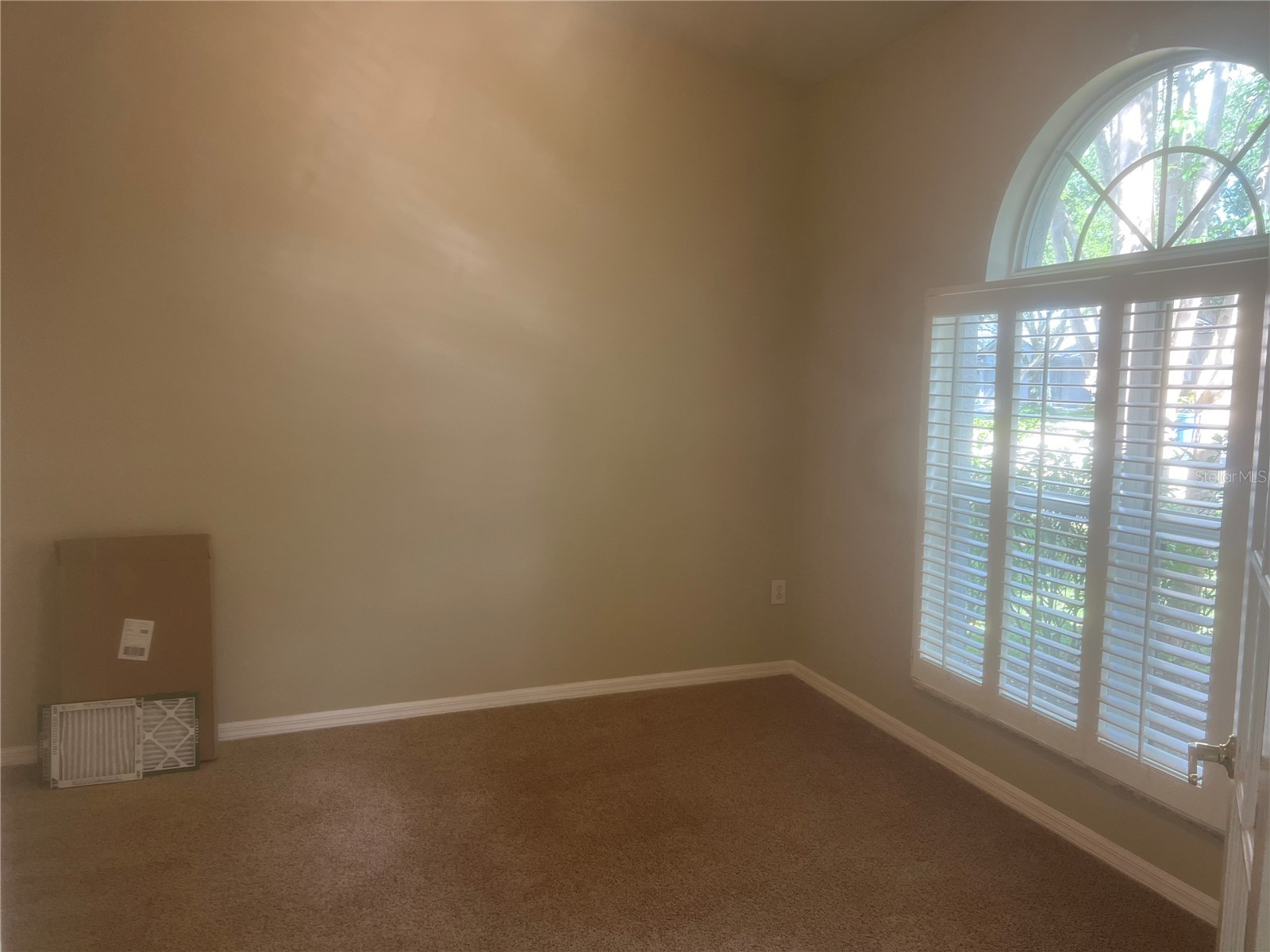 10237 Shadow Branch Drive Tampa FL 33647 TB8500348 image5