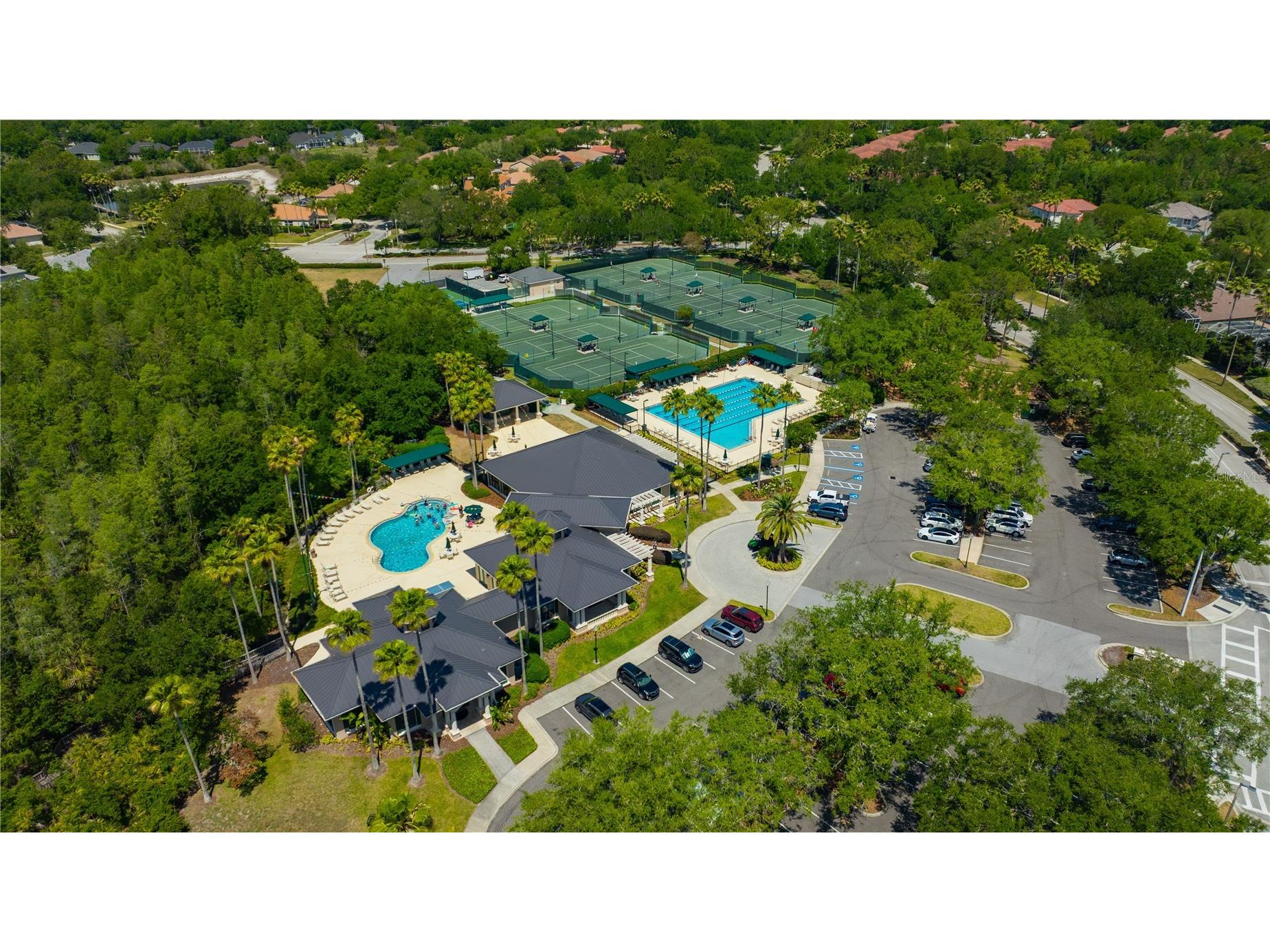 10237 Shadow Branch Drive Tampa FL 33647 TB8500348 image50