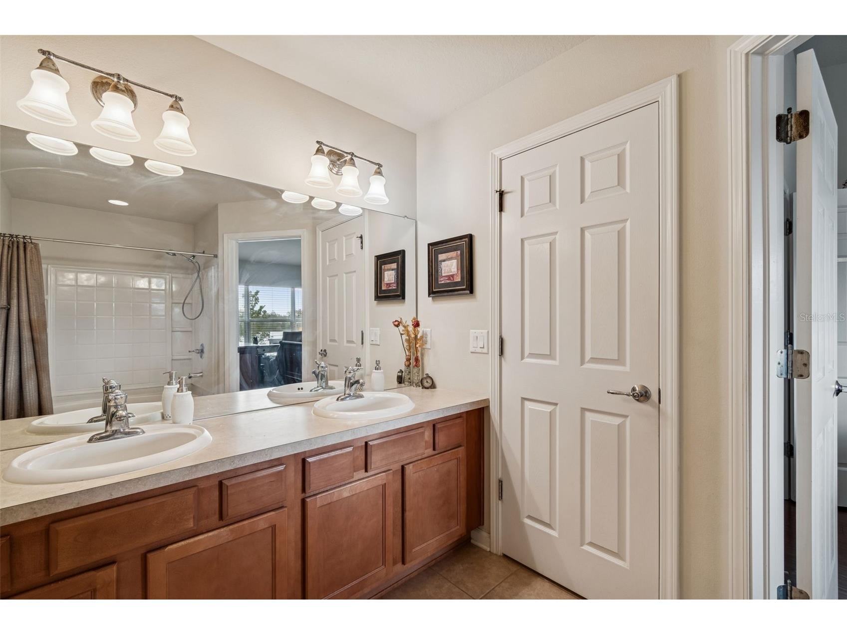 10238 Estero Bay Lane Tampa FL 33625 TB8484632 image21