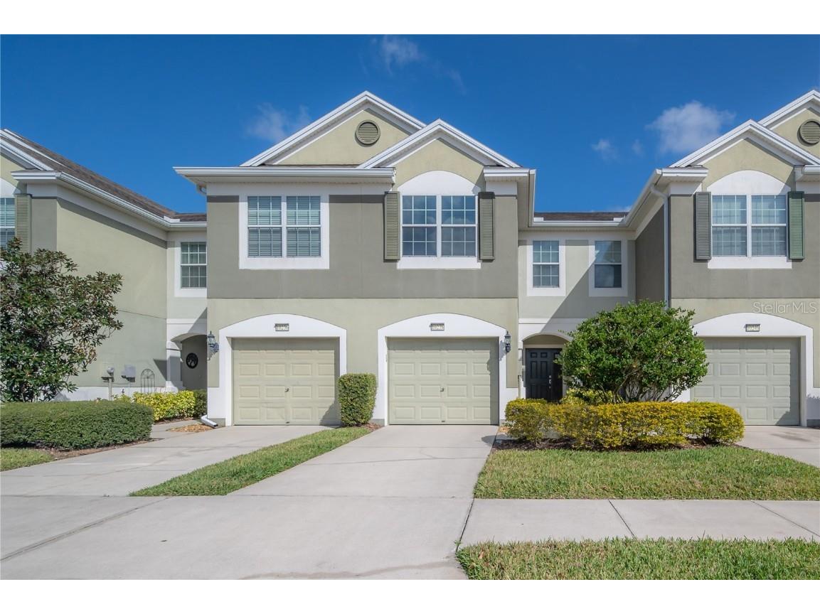 10238 Red Currant Court Riverview FL 33578 T3357146 image1