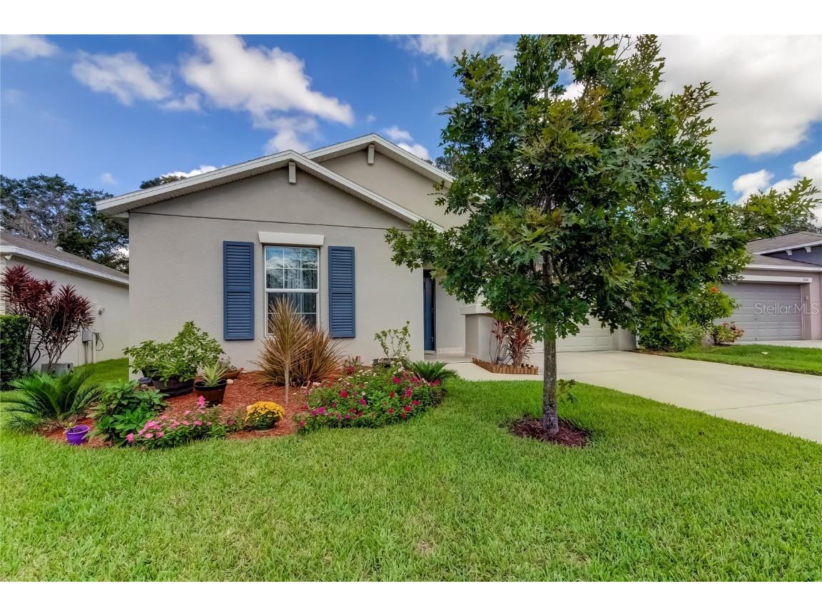 10238 Strawberry Tetra Drive Riverview FL 33578 U8214840 image1