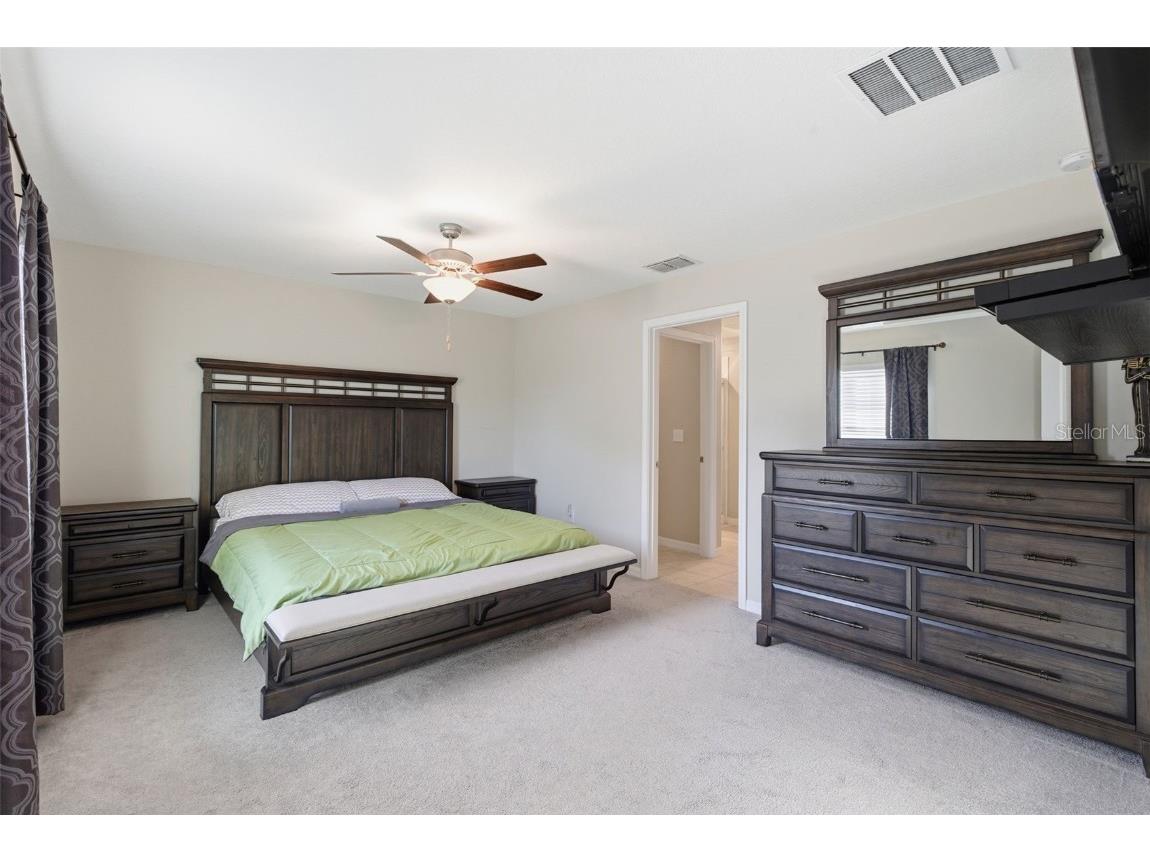 10239 Bright Crystal Avenue Riverview FL 33578 TB8446245 image37