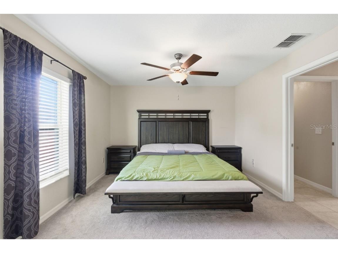 10239 Bright Crystal Avenue Riverview FL 33578 TB8446245 image38