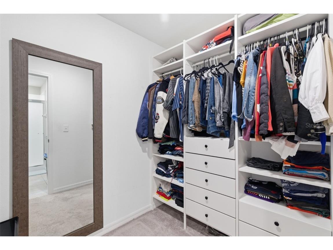 10239 Bright Crystal Avenue Riverview FL 33578 TB8446245 image41