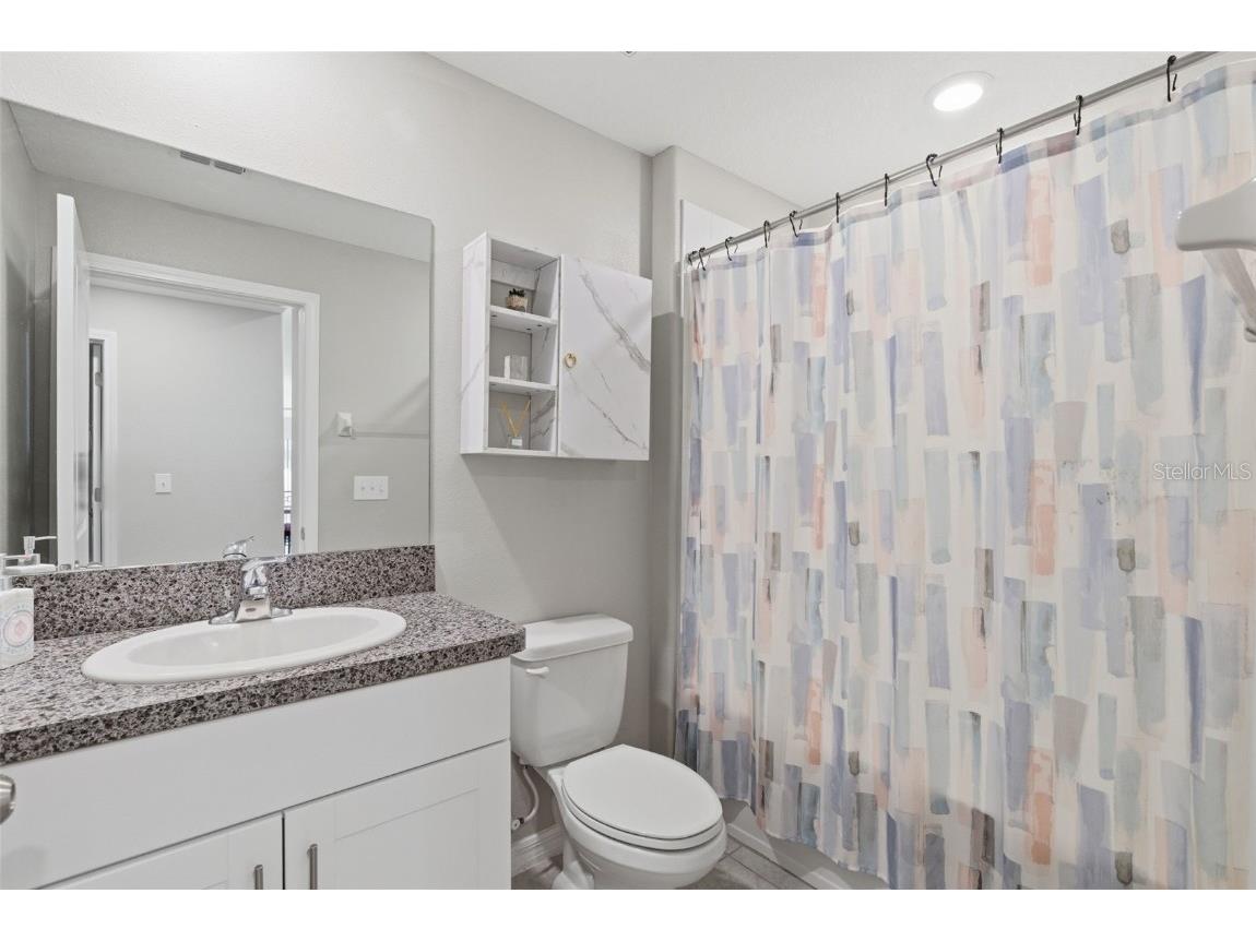 10239 Bright Crystal Avenue Riverview FL 33578 TB8446245 image43