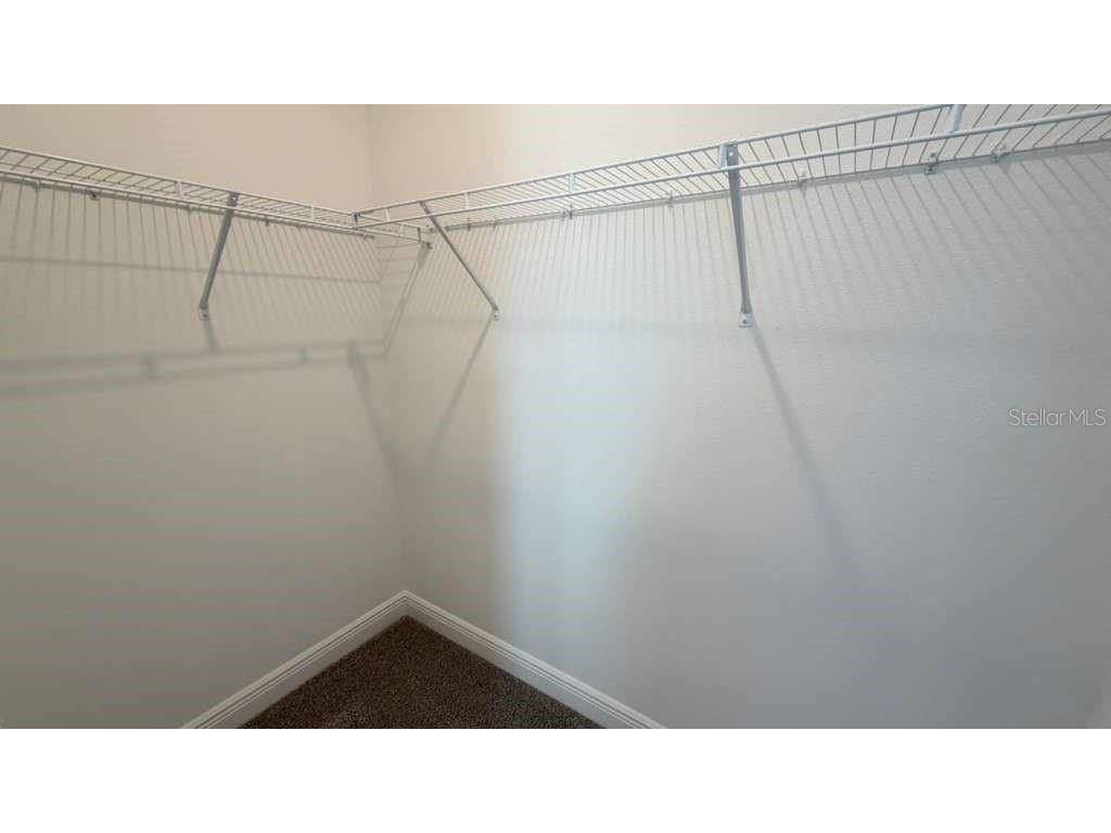 10239 Dulbecco Street Orlando FL 32827 S5149740 image18