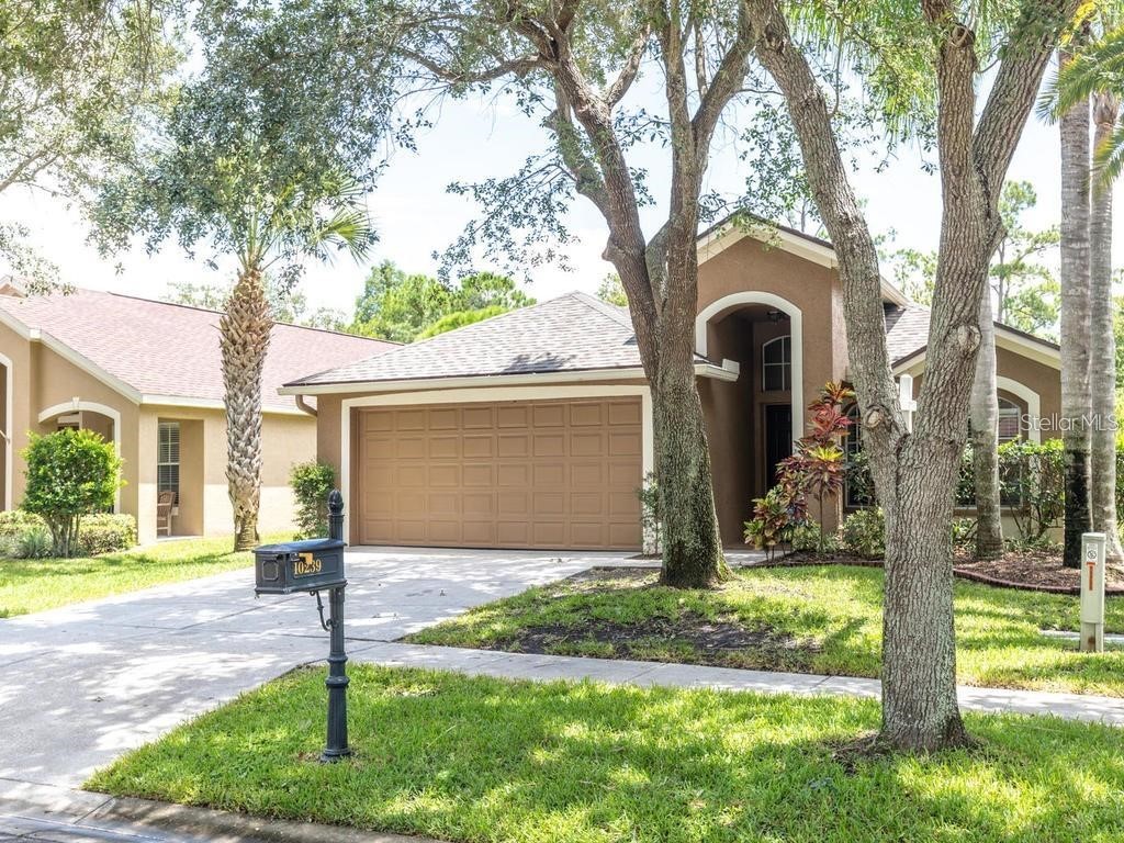 10239 Woodford Bridge Street Tampa FL 33626 T3476164 image1