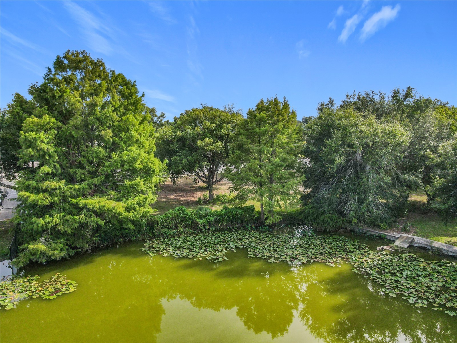 1024 - 1038 W Dixie Avenue Leesburg FL 34748 G5101301 image15