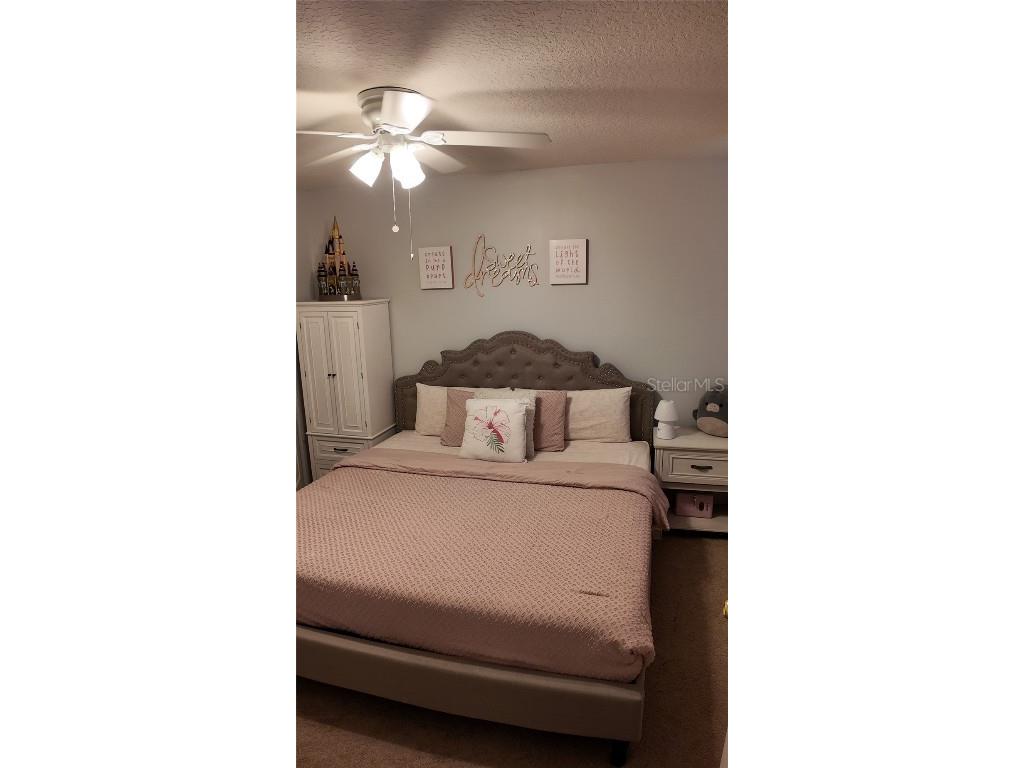 1024 Chalcedony Street Kissimmee FL 34744 S5136346 image25