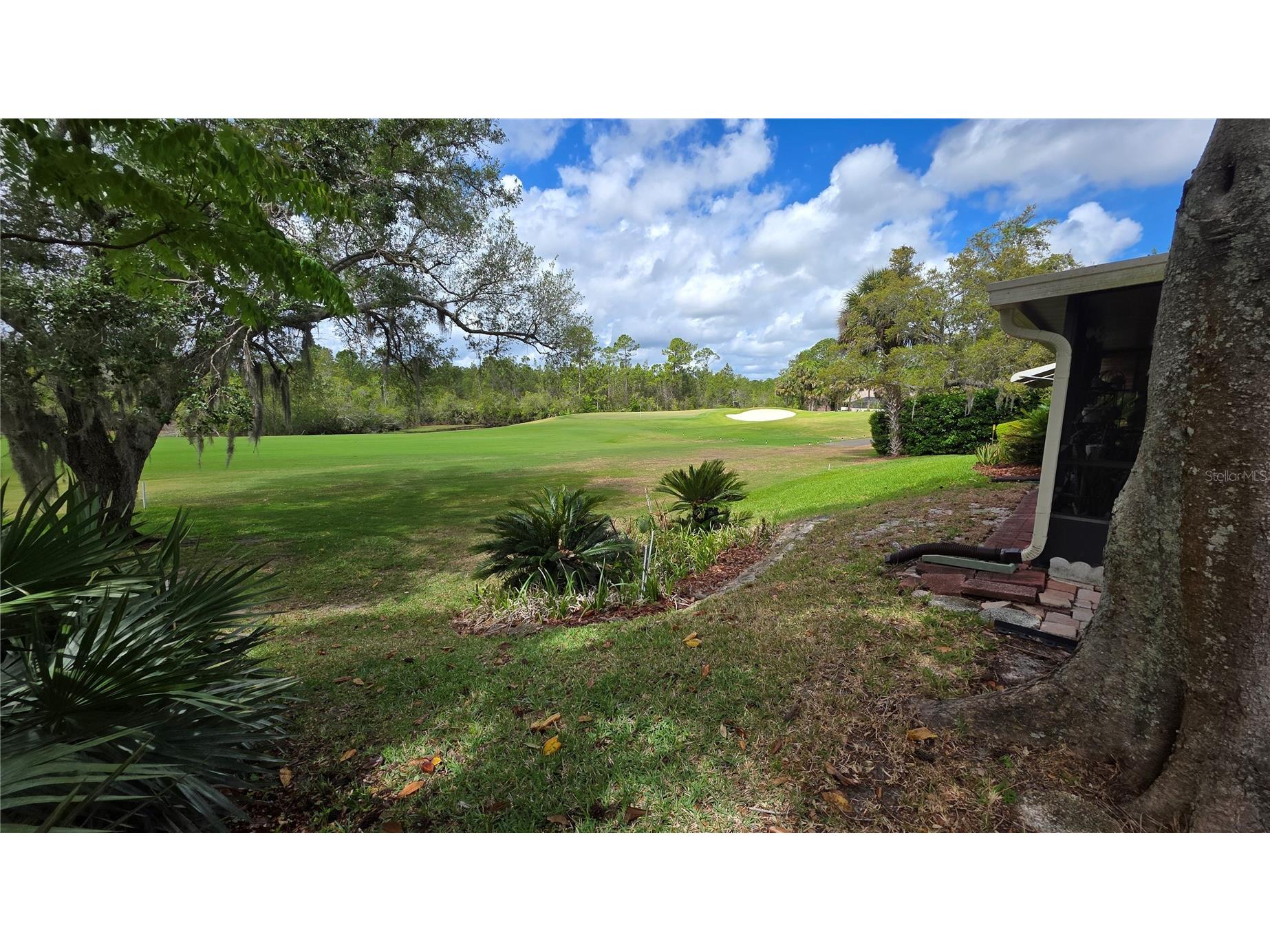 1024 Club House Boulevard New Smyrna Beach FL 32168 V4948329 image46