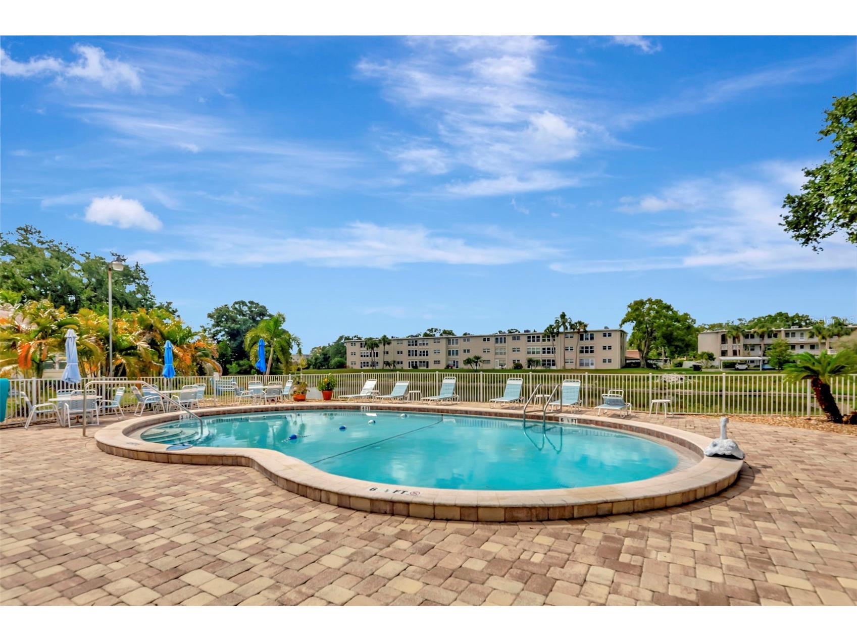1024 De Soto Drive Dunedin FL 34698 TB8520419 image23