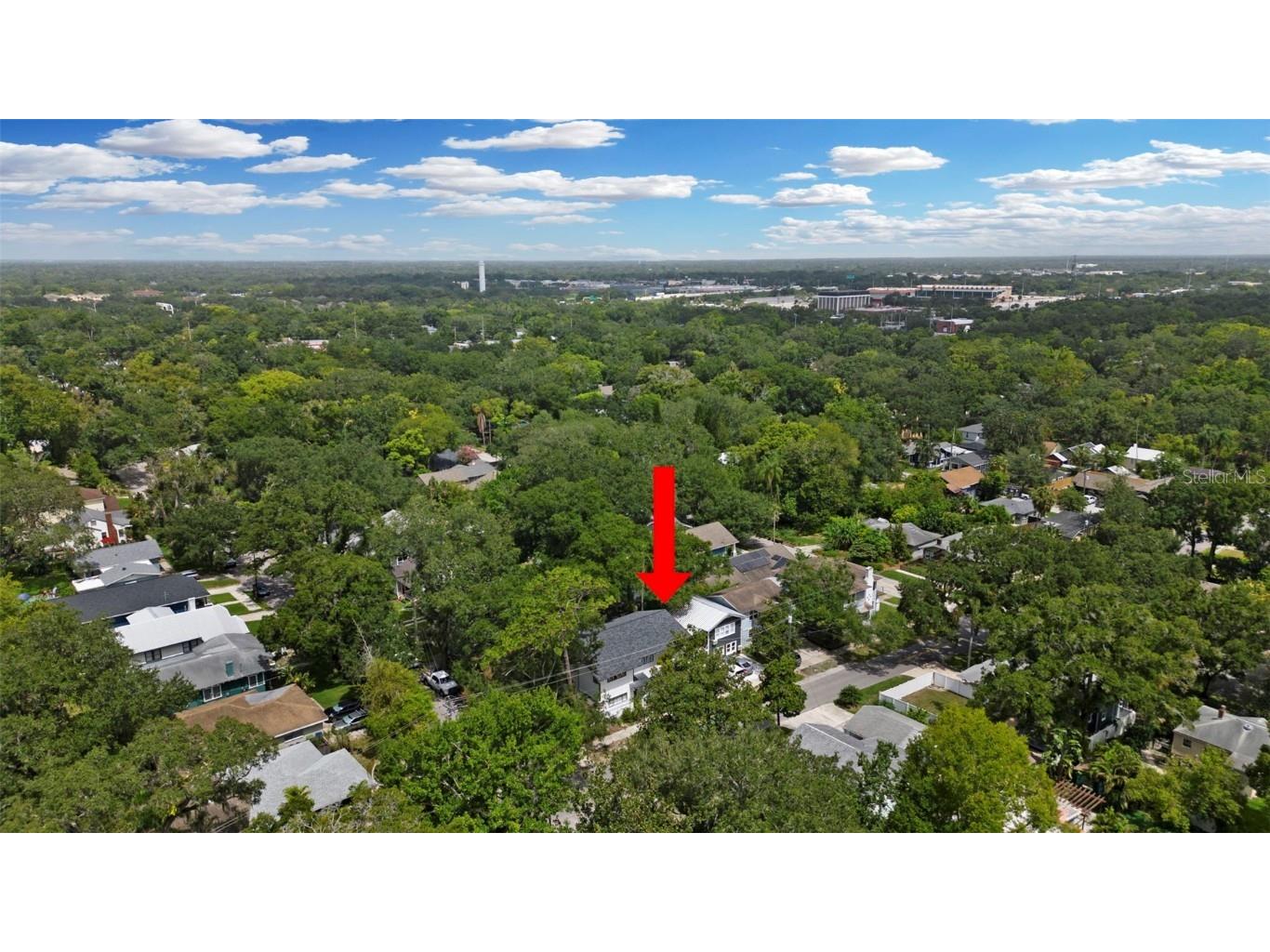 1024 E Crenshaw Street #A Tampa FL 33604 TB8427937 image19