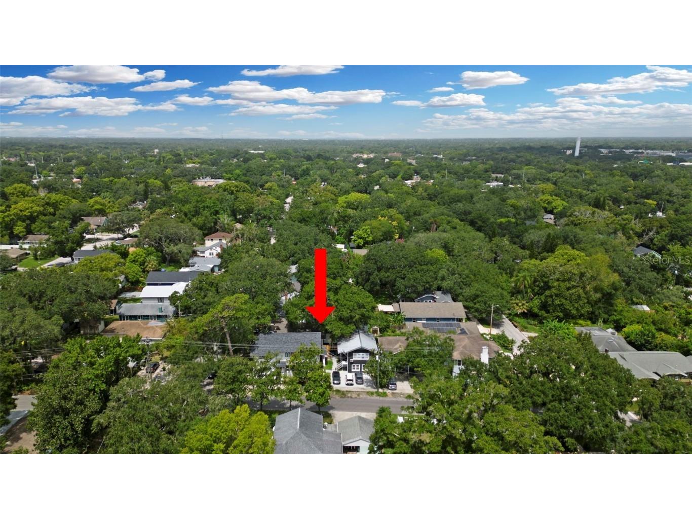 1024 E Crenshaw Street #A Tampa FL 33604 TB8427937 image20