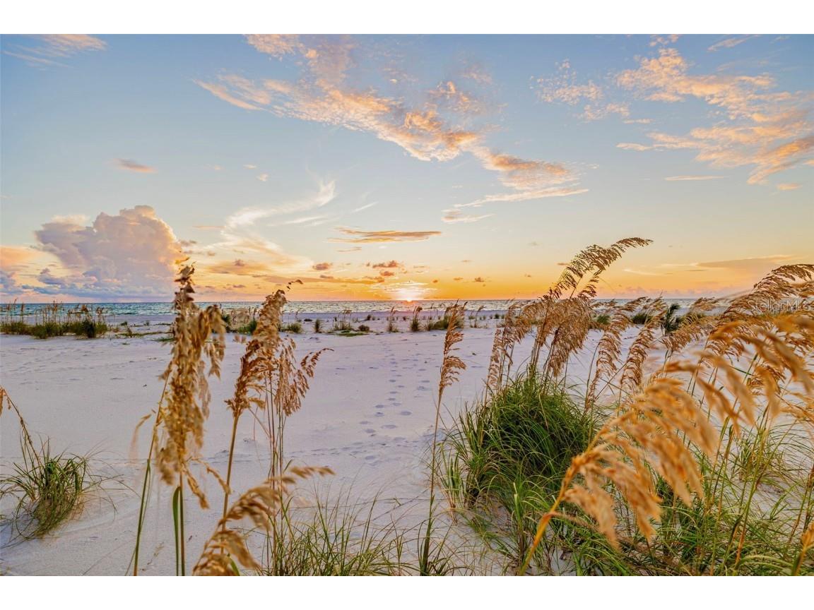 1024 Eldorado Avenue Clearwater Beach FL 33767 - GULF TB8421060 image2