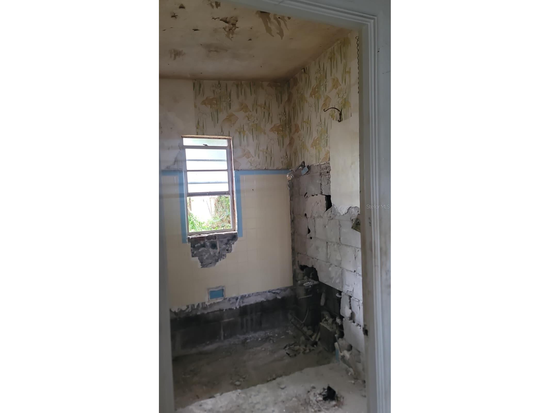 1024 W Fairbanks Avenue Orlando FL 32804 O6413125 image8