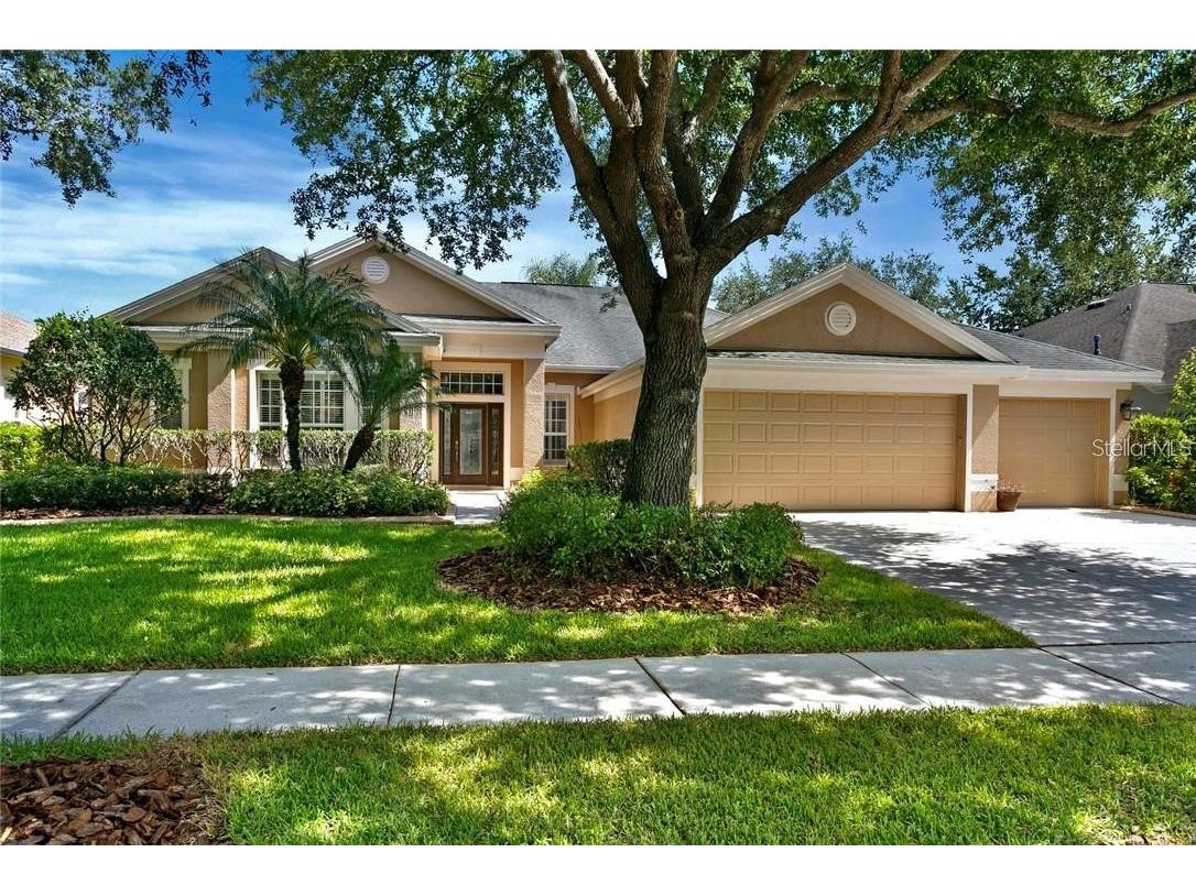 10240 Shadow Branch Drive Tampa FL 33647 TB8345931 image1