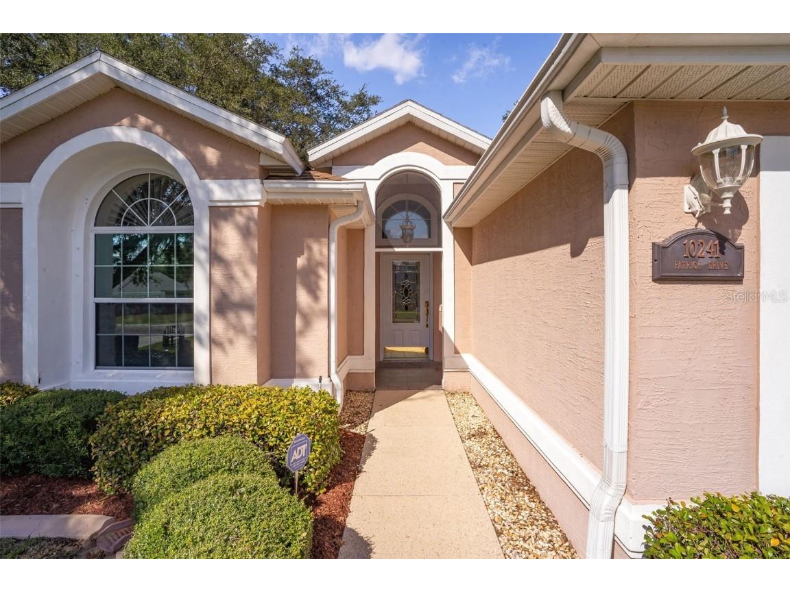 10241 Patrick Drive Leesburg FL 34788 G5048161 image1